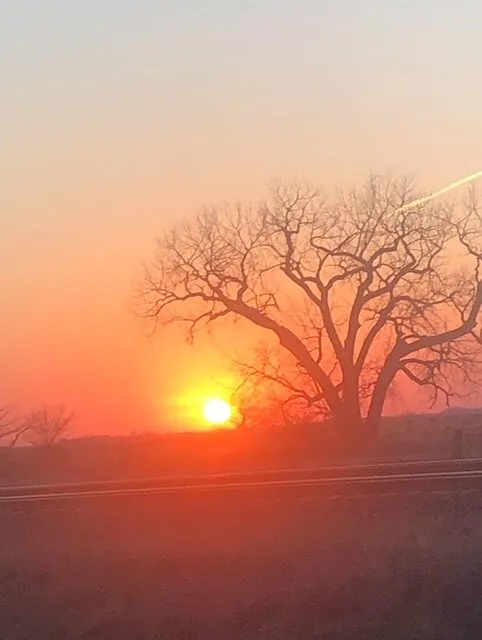 Sunset in the Plains