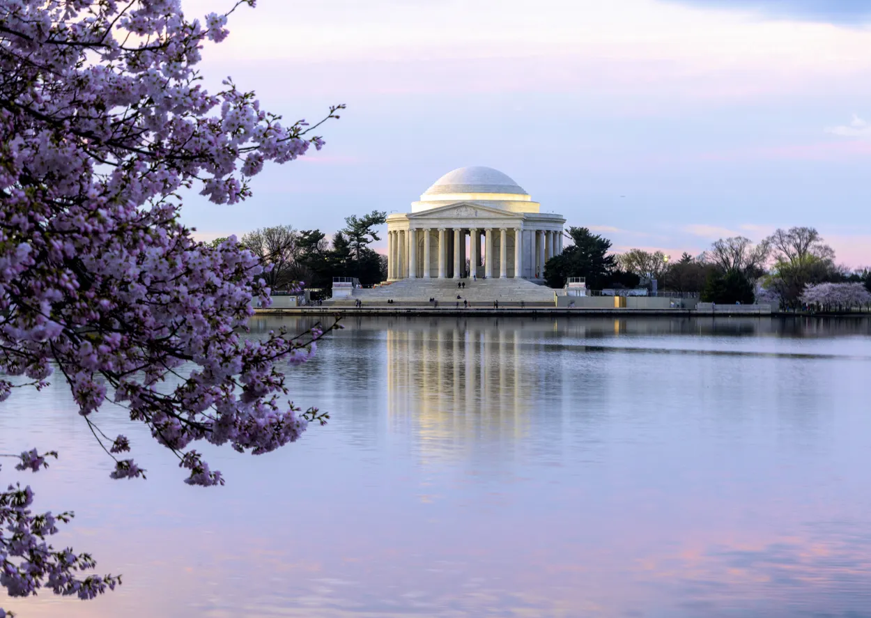 Cherry Blossoms and the Jefferson Memorial, Washington DC