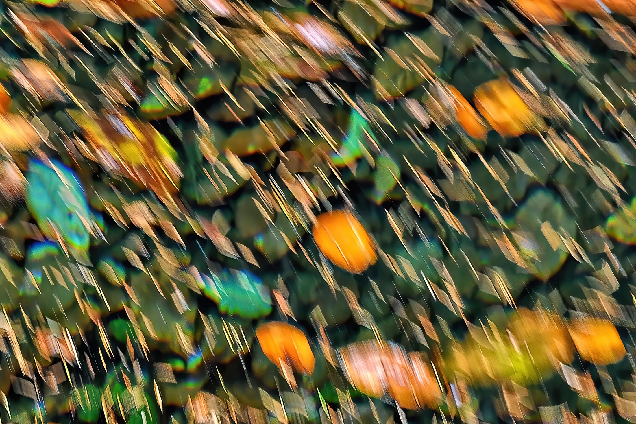 Dancing leaves