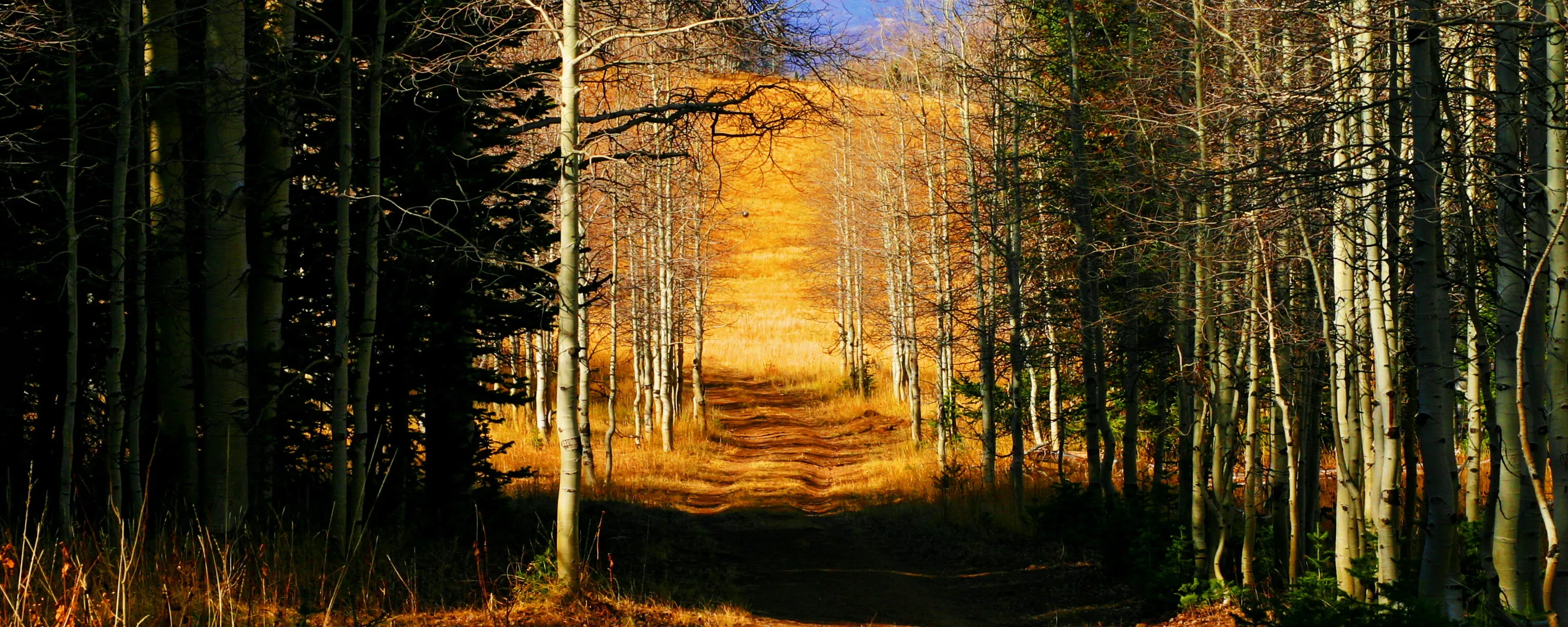 Back Country