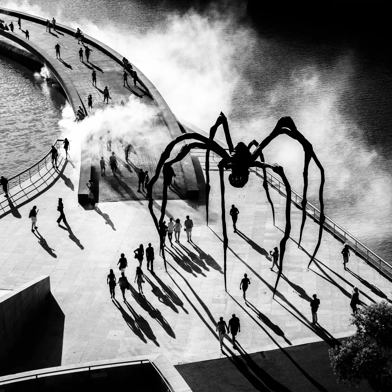 Bilbao spider