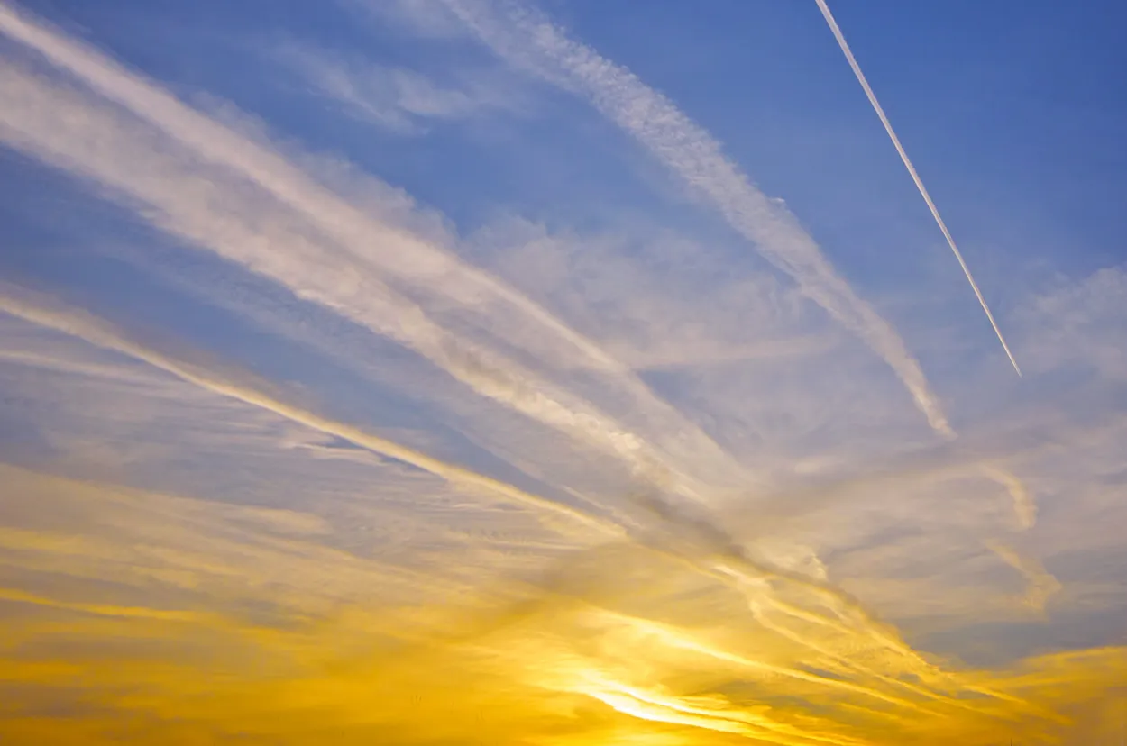 Entry 19704150