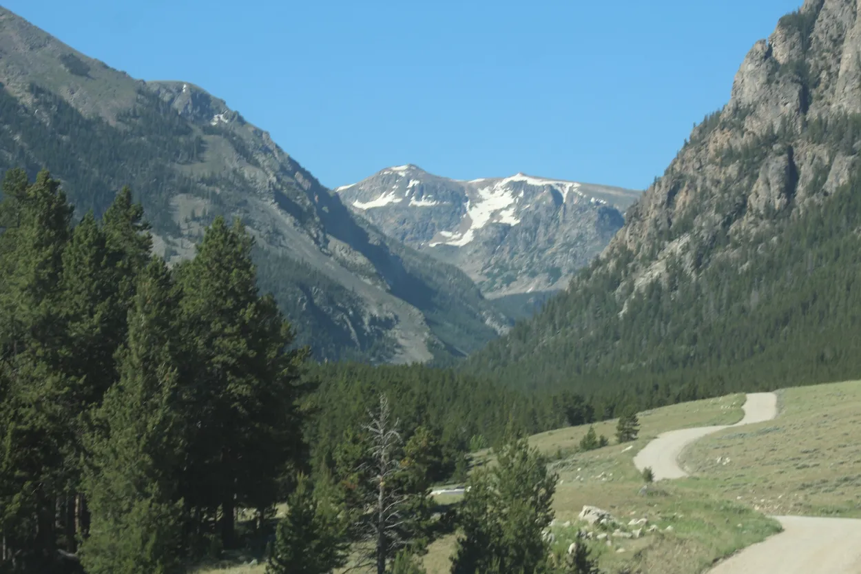 Entry 20094480