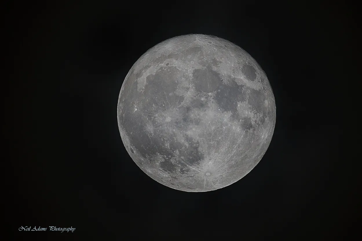Entry 9434628