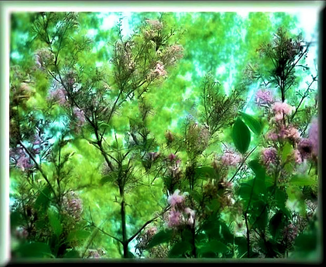 Spring
