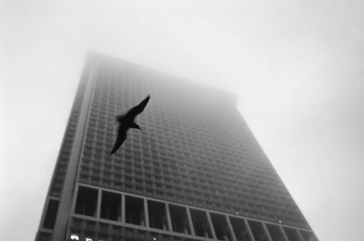 Entry 20102513
