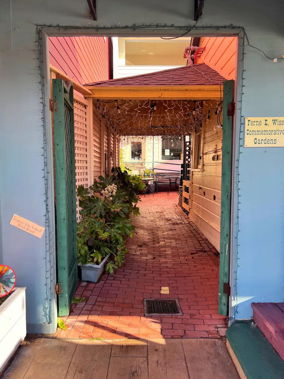 Entry 20109744