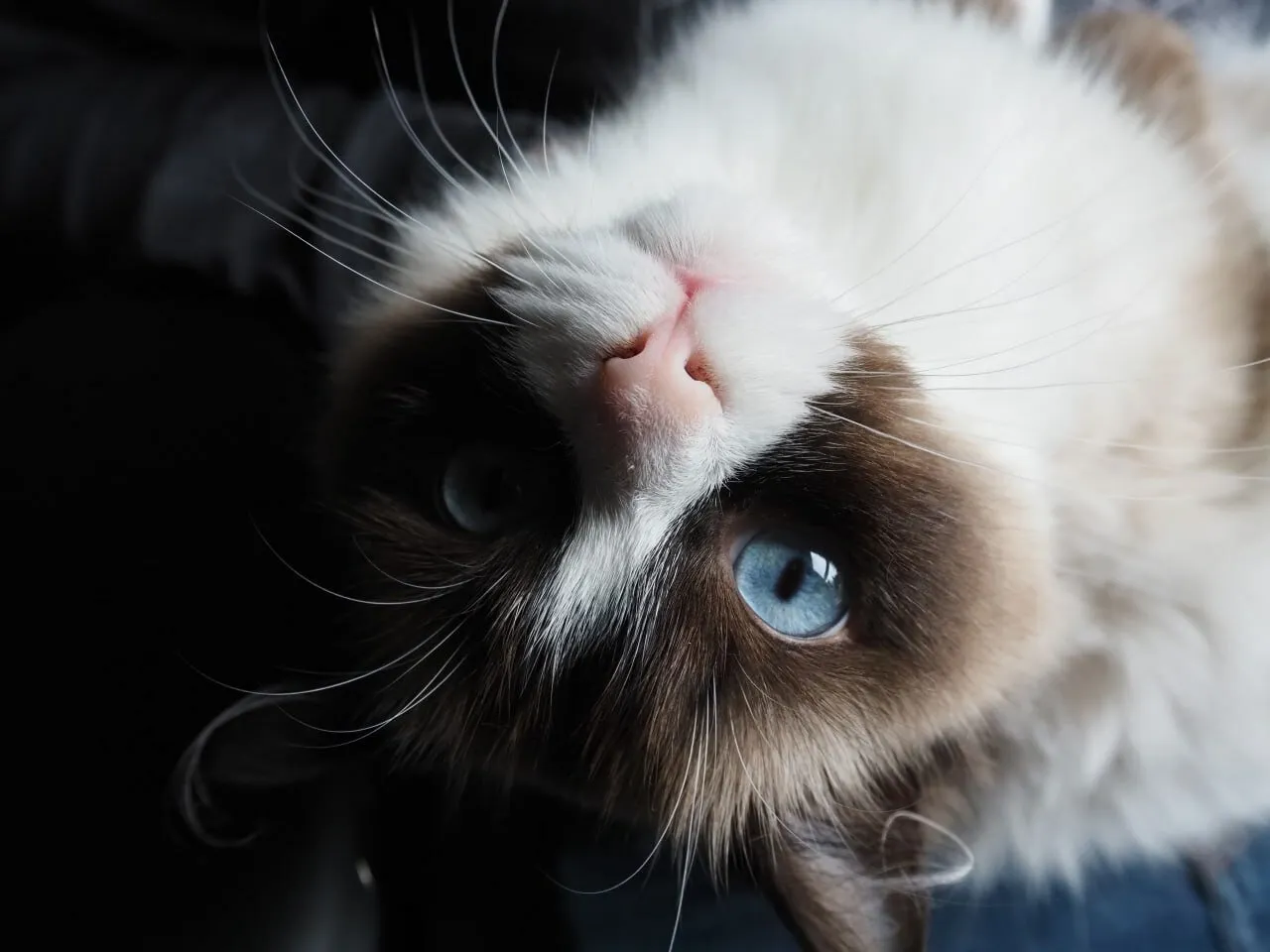 Upside-down