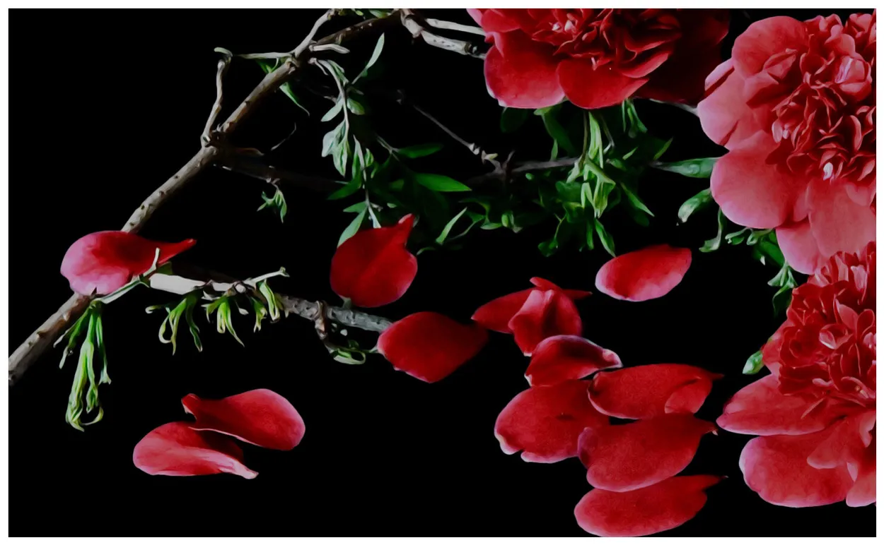Entry 20111875