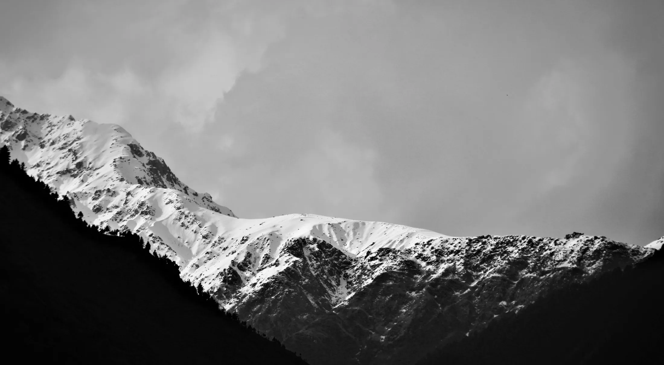 Entry 20112431