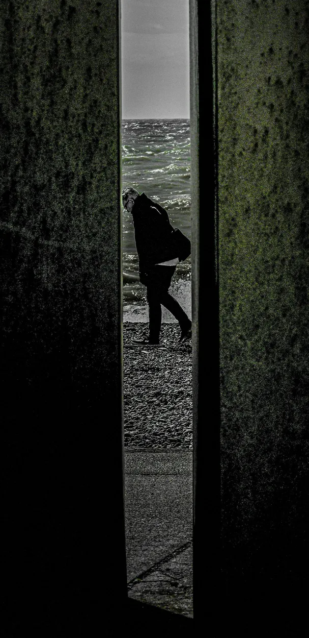 Entry 20115708