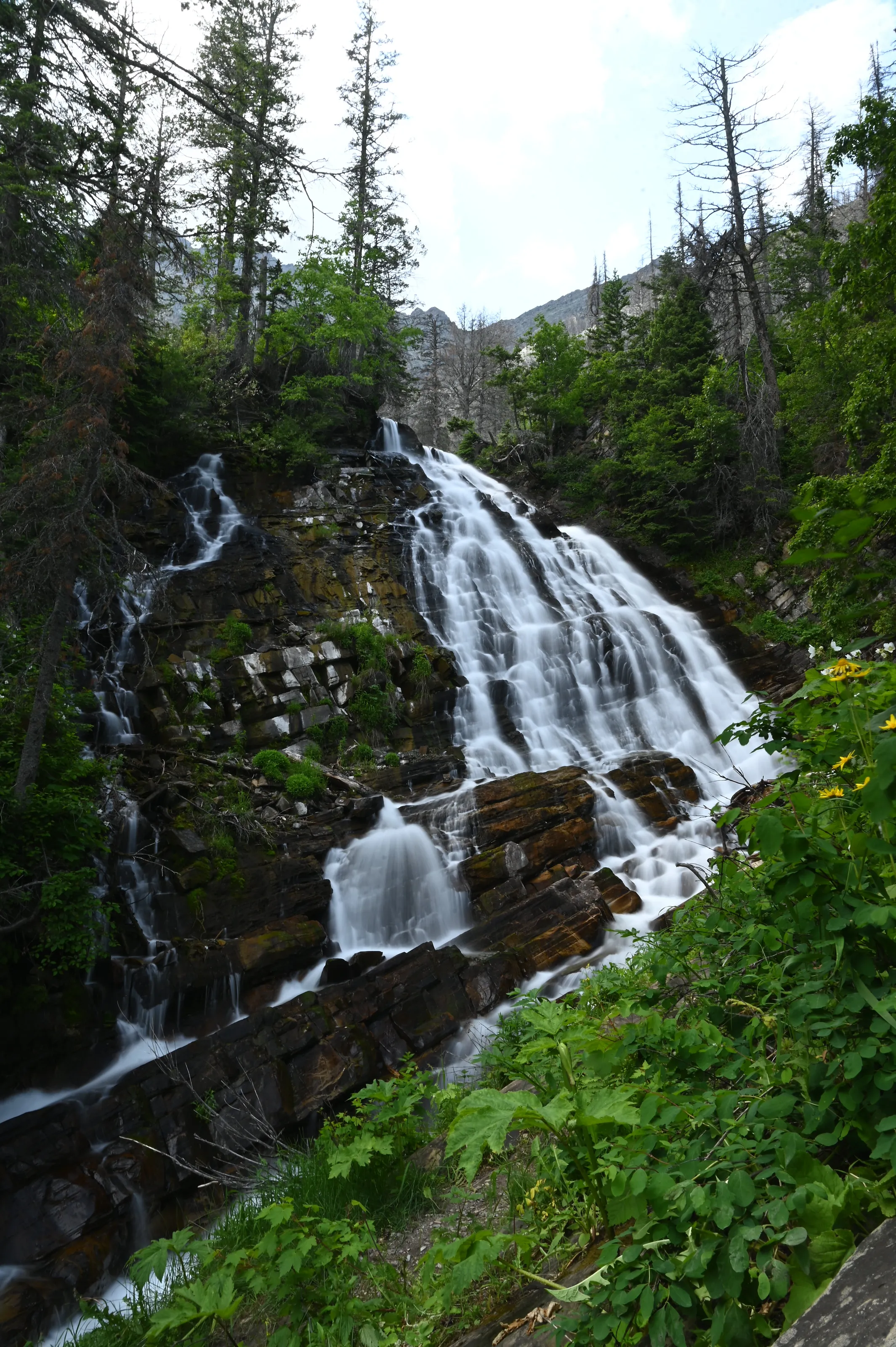 Lower Bertha Falls