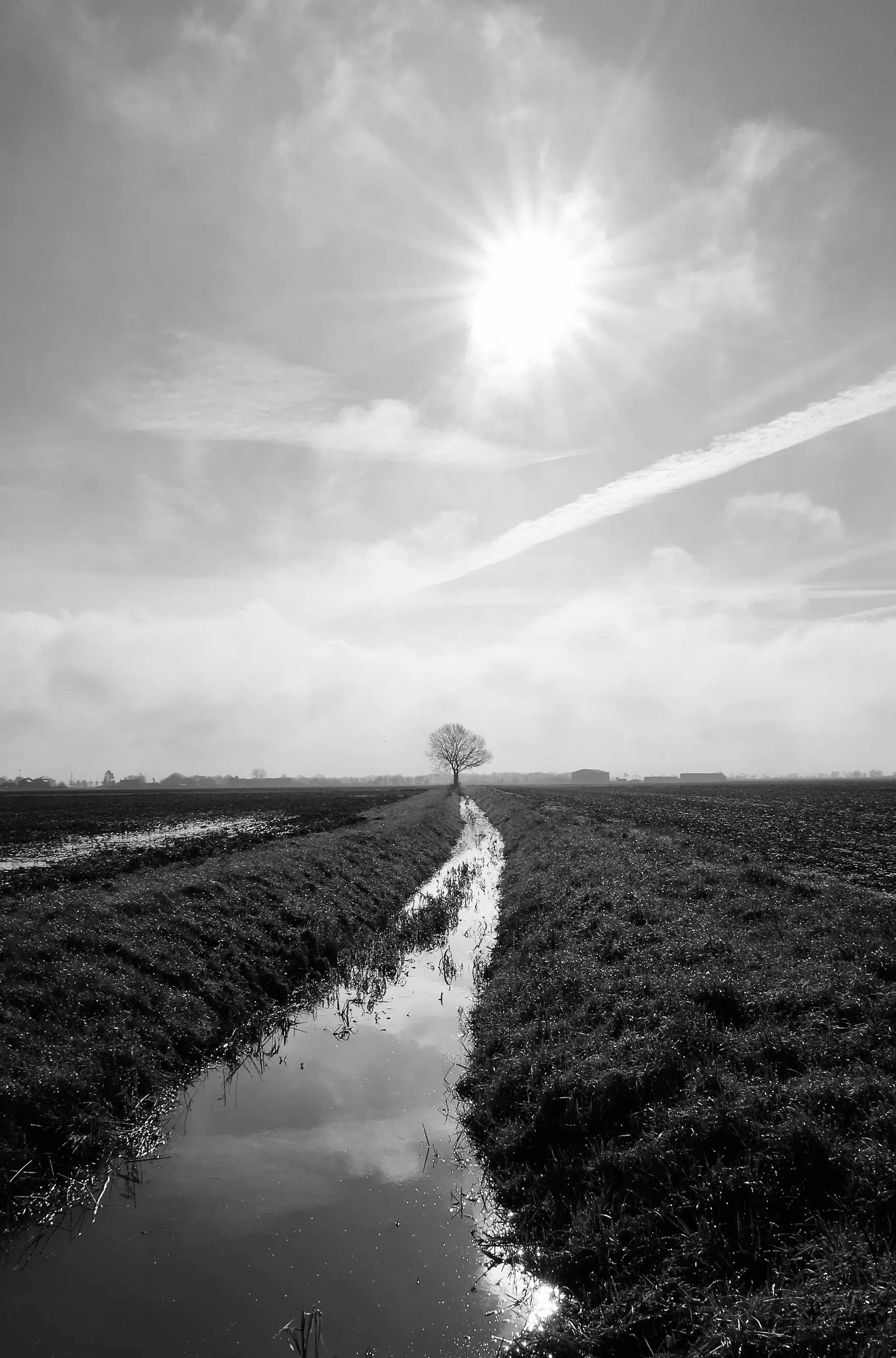 Fenland Winter morning