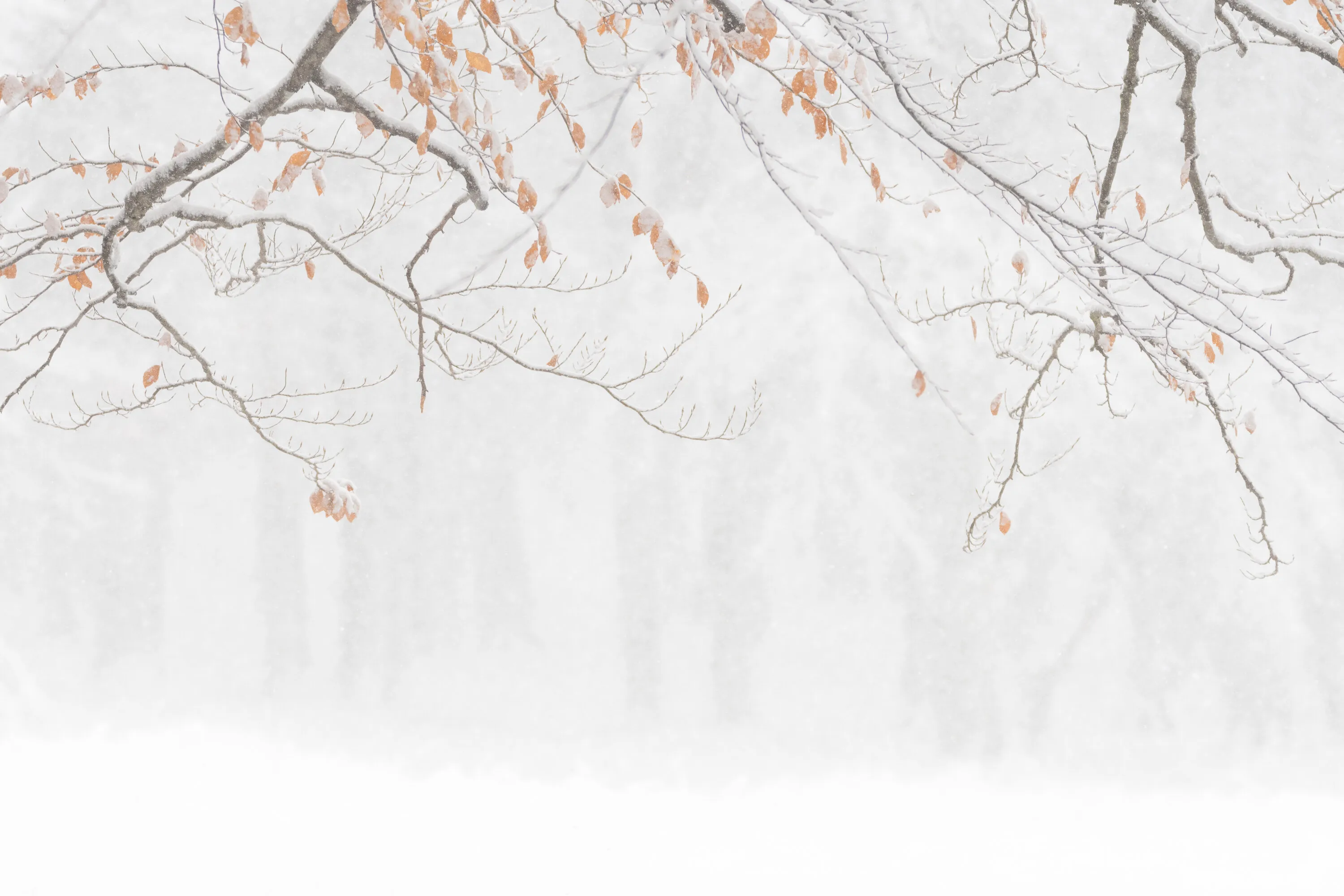 Two seasons