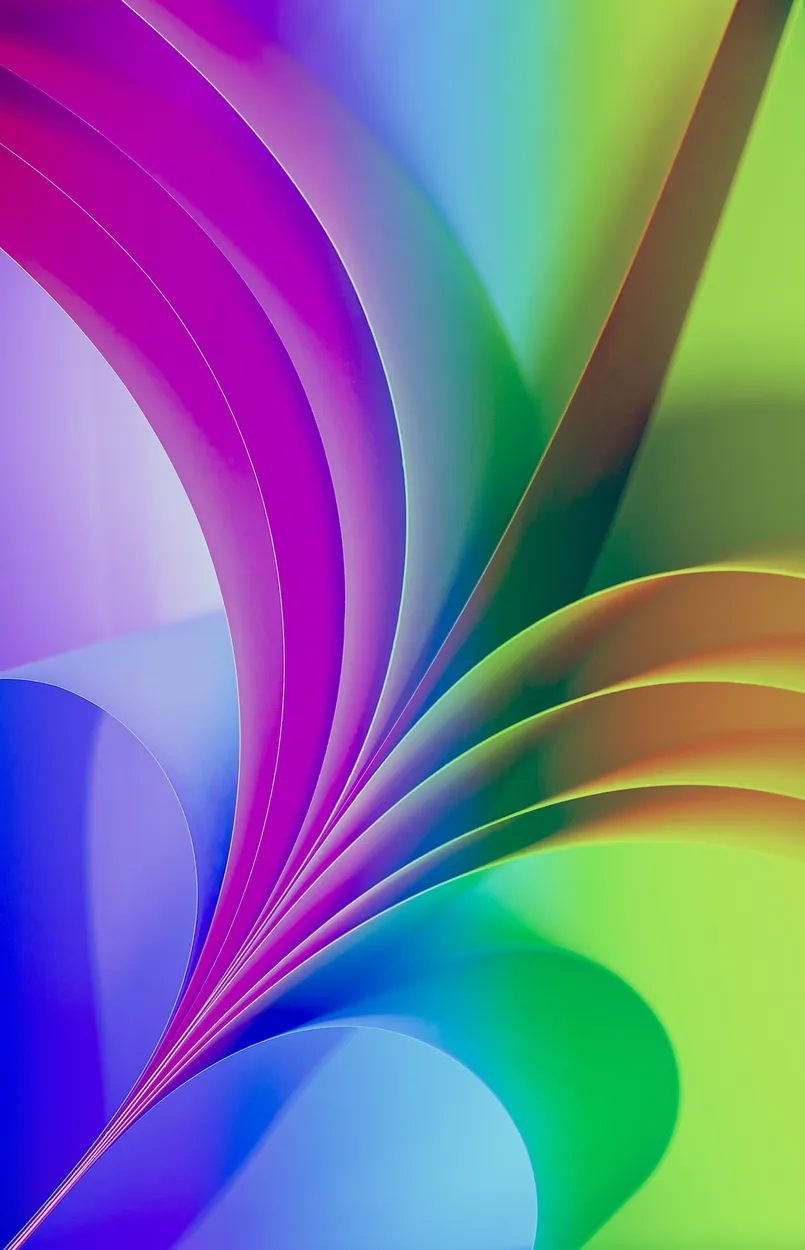 Entry 20138121