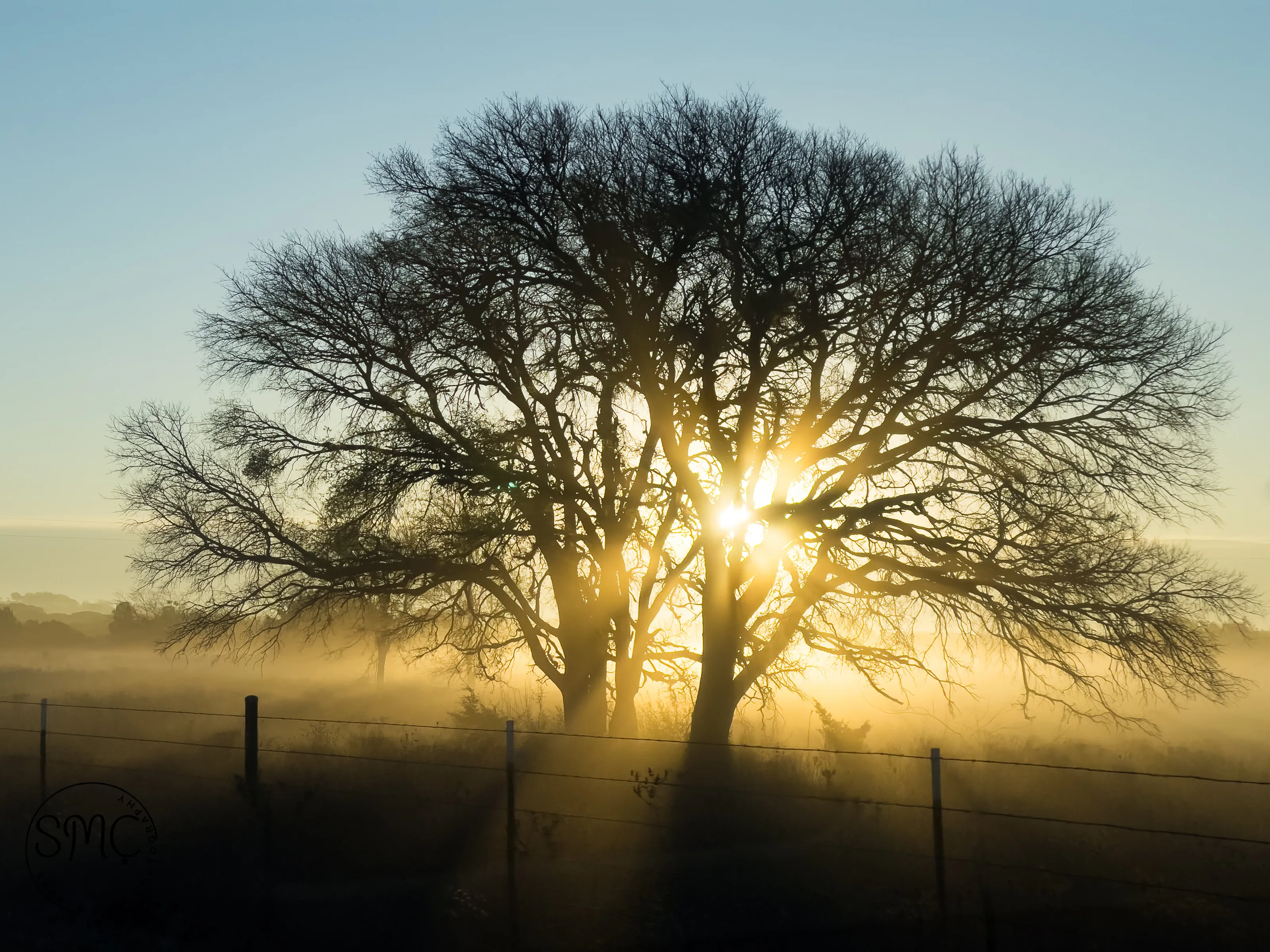 Moody Morning