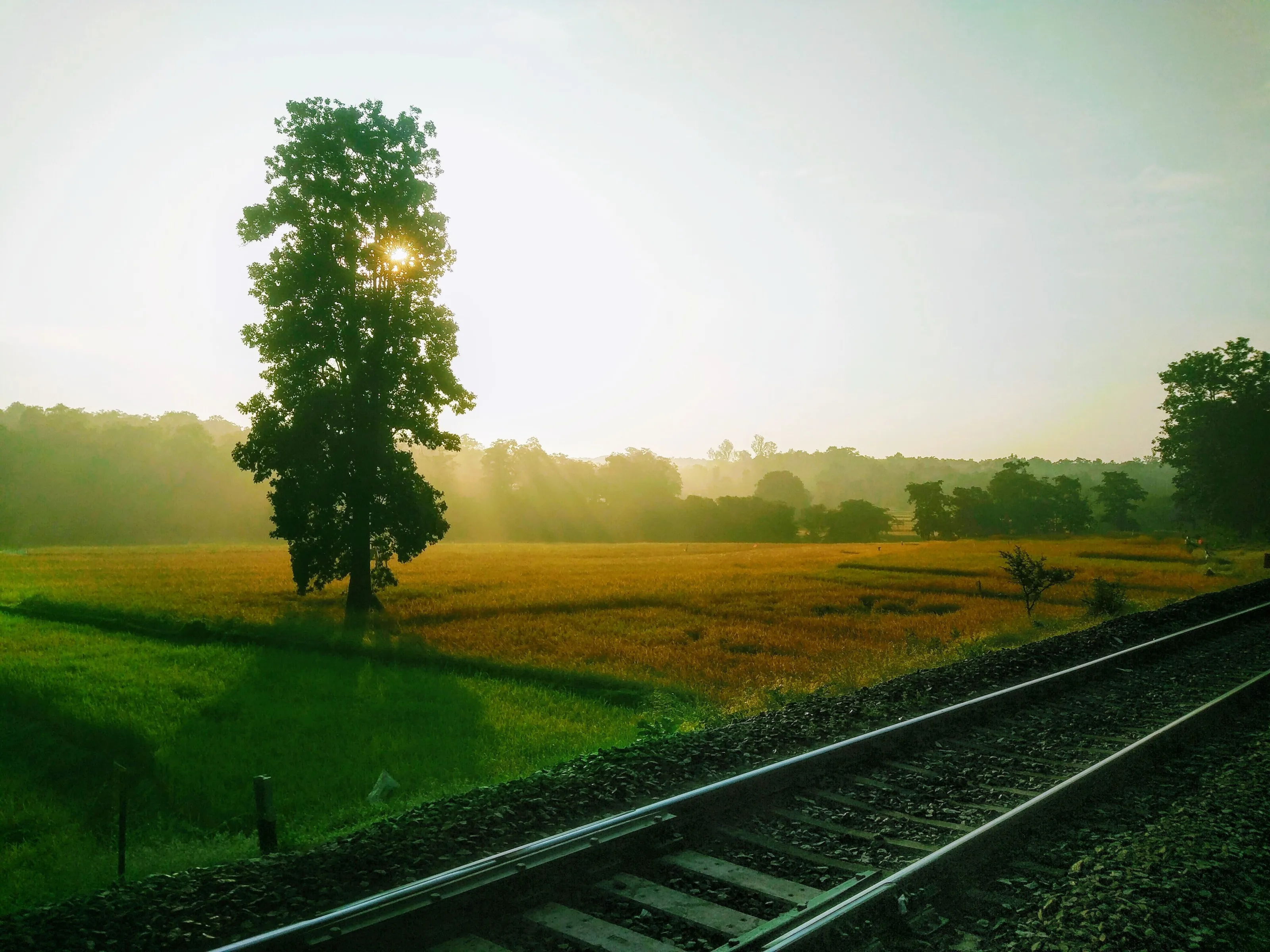One beautiful from Belagavi, India