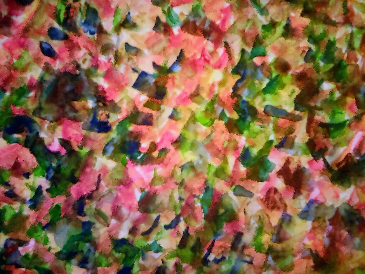 Dancing Colours