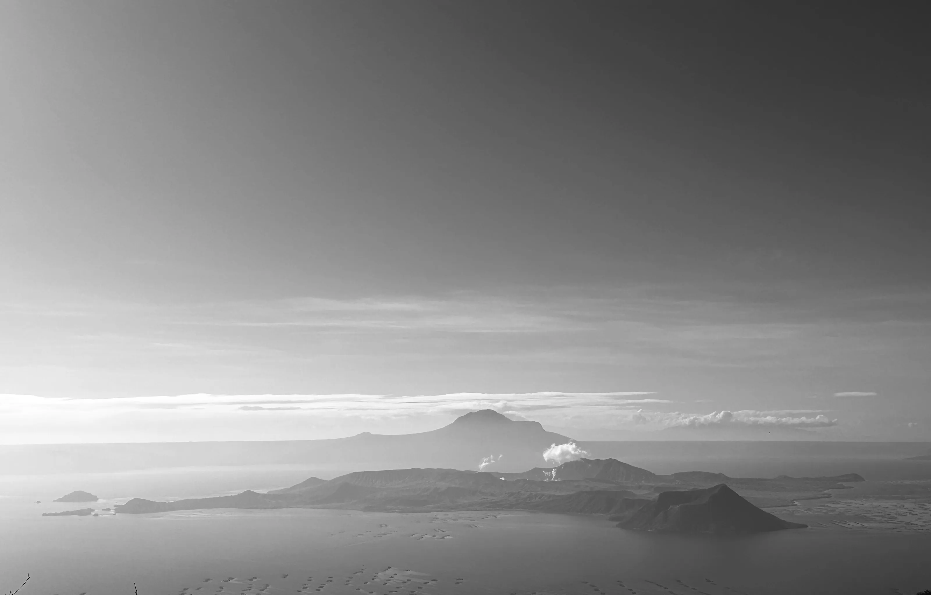 Beauty in the mist
