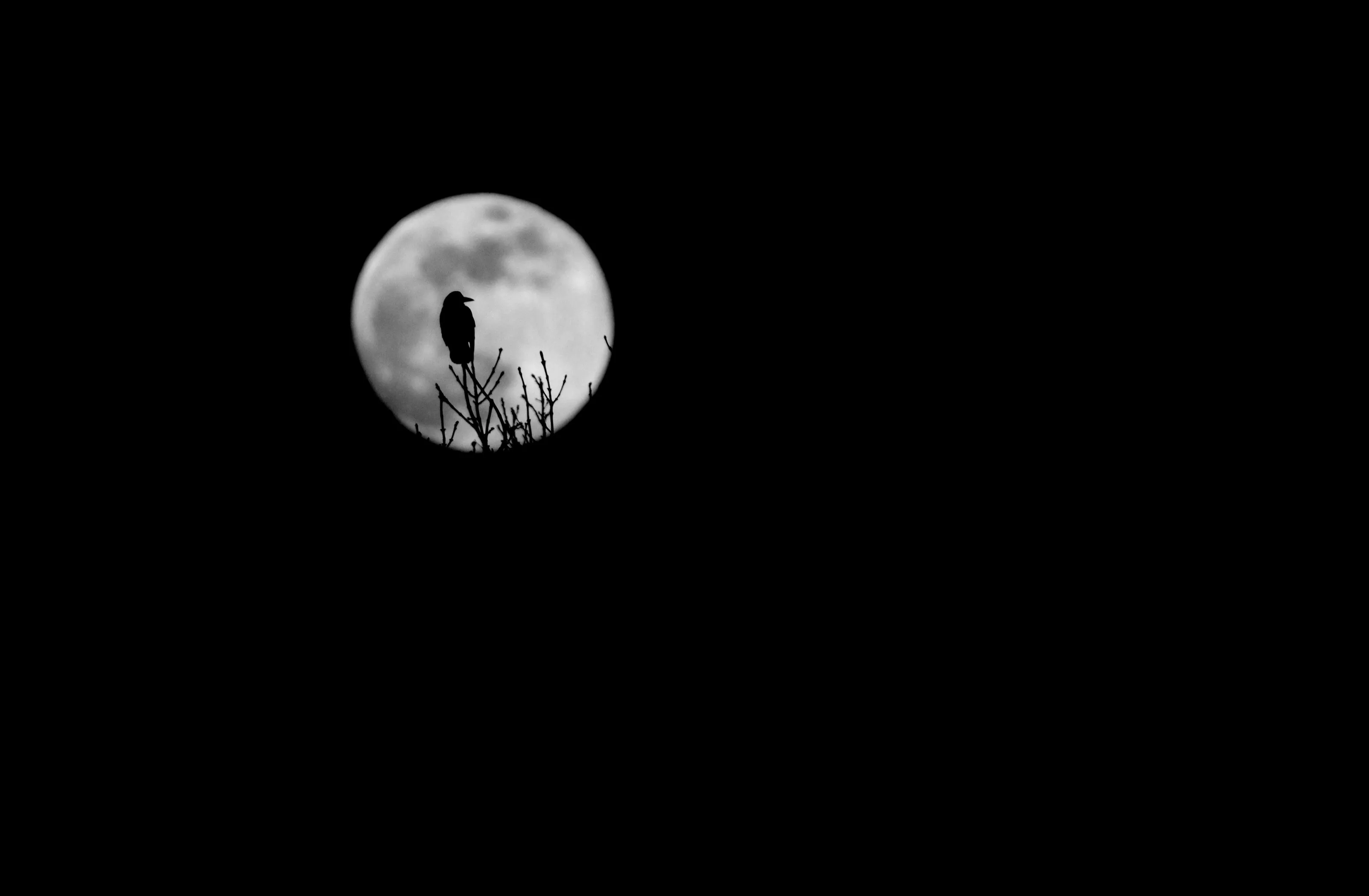 Night time silhouette