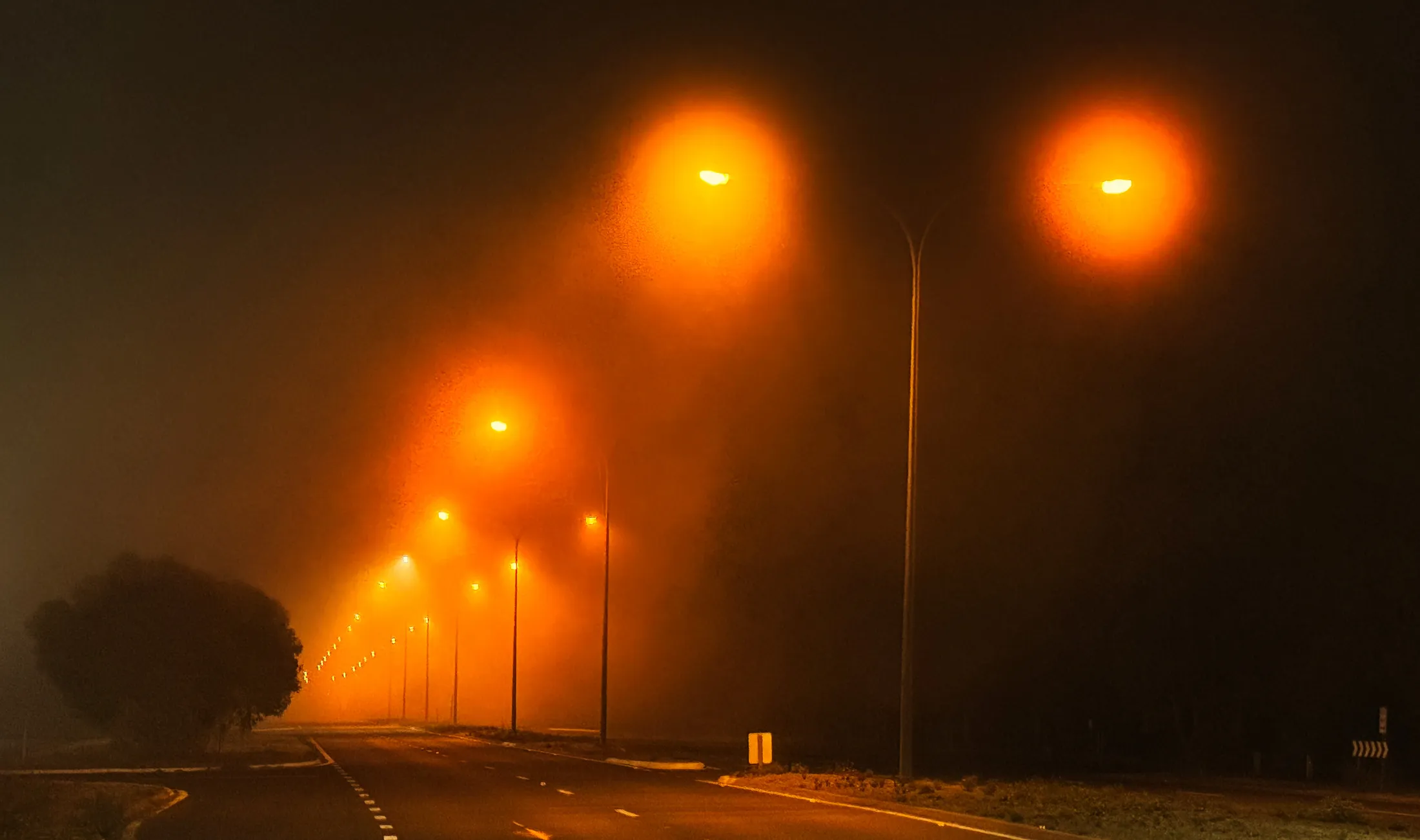 Entry 22574903