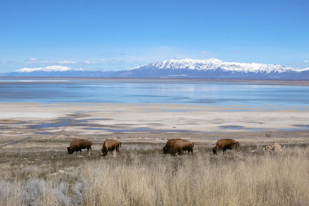 Antelope Island