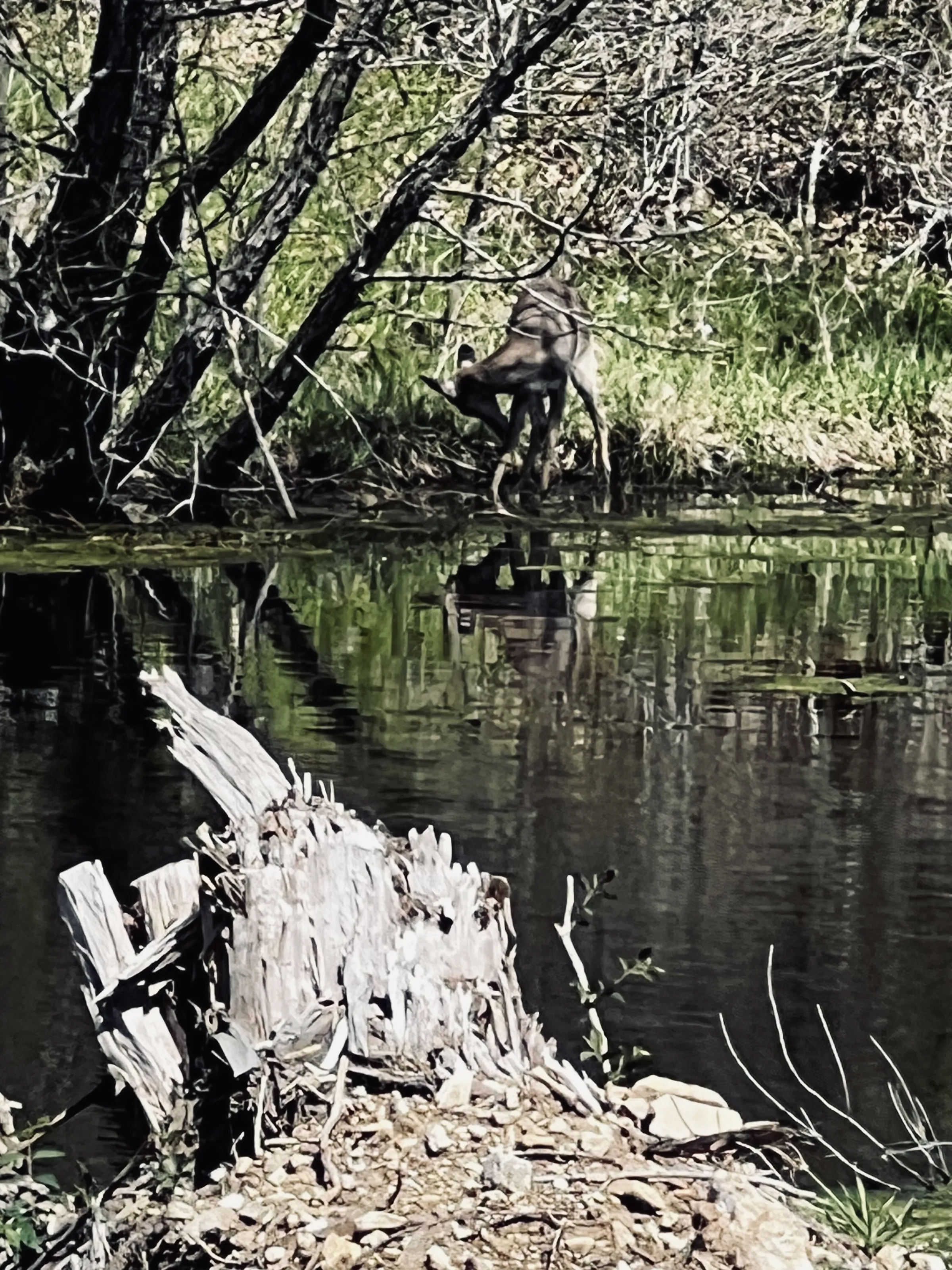 Peace on the Water