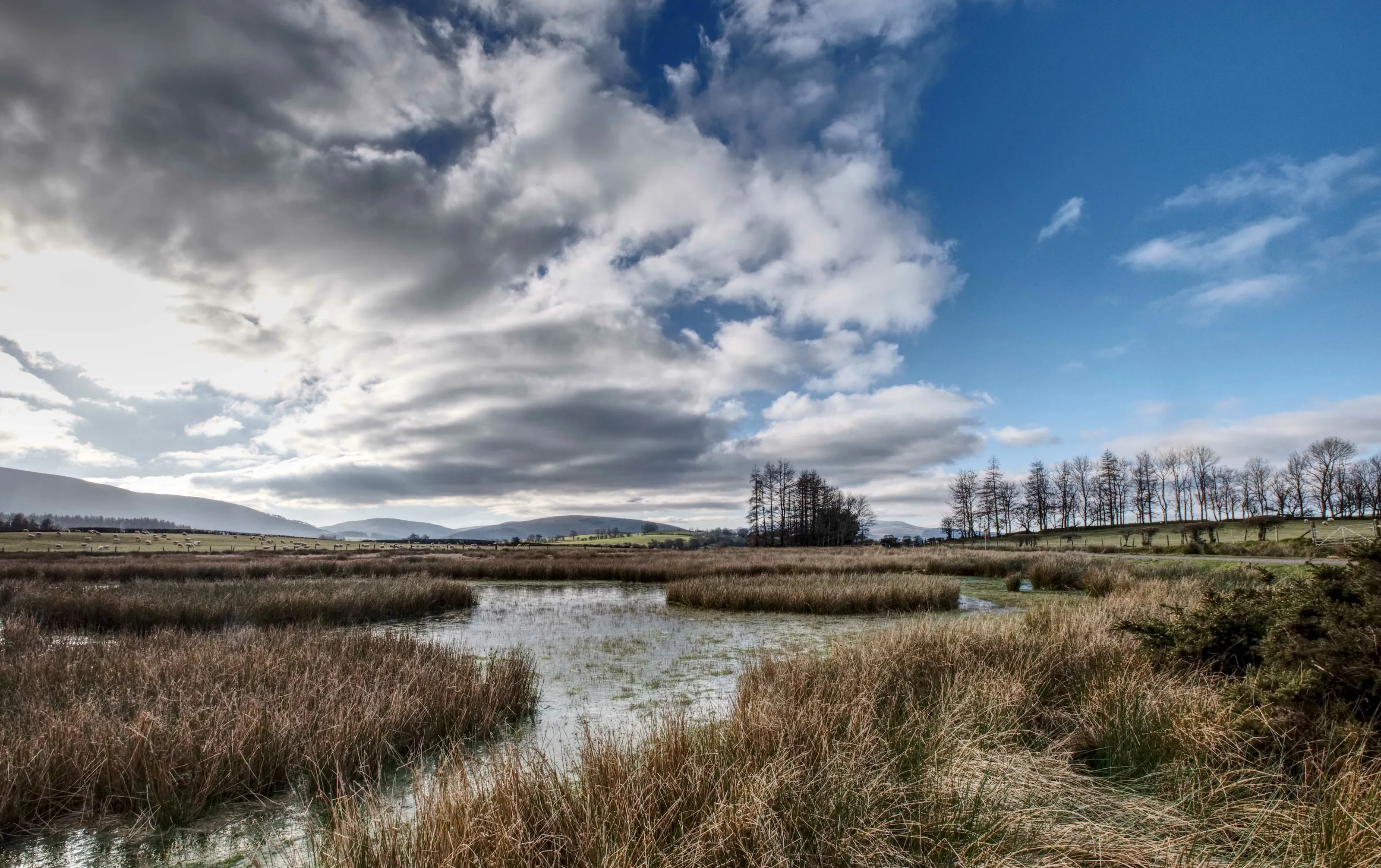Brecon Pool