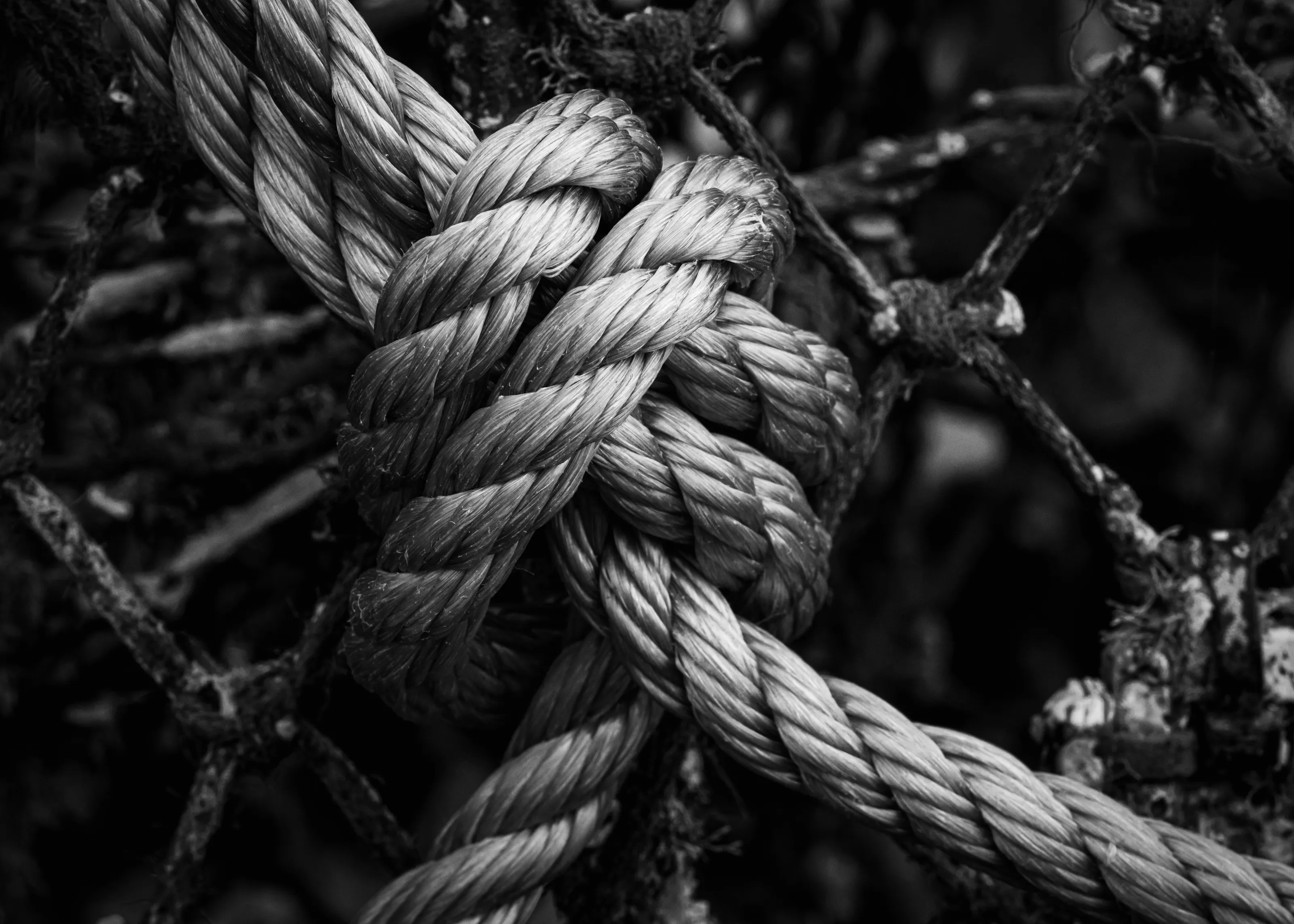 Fisherman's rope, knot in colour