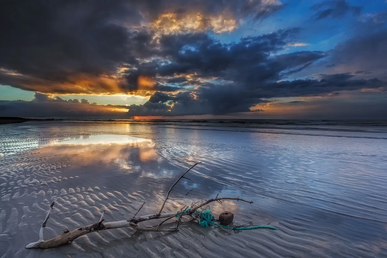 Entry 88644