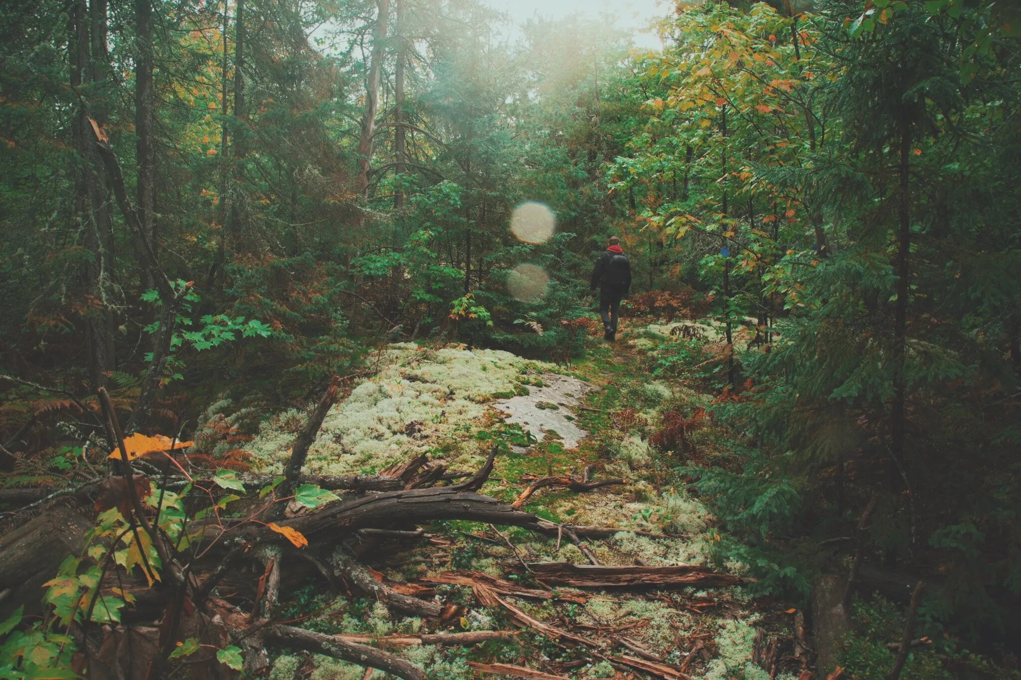 Rainy day hike.