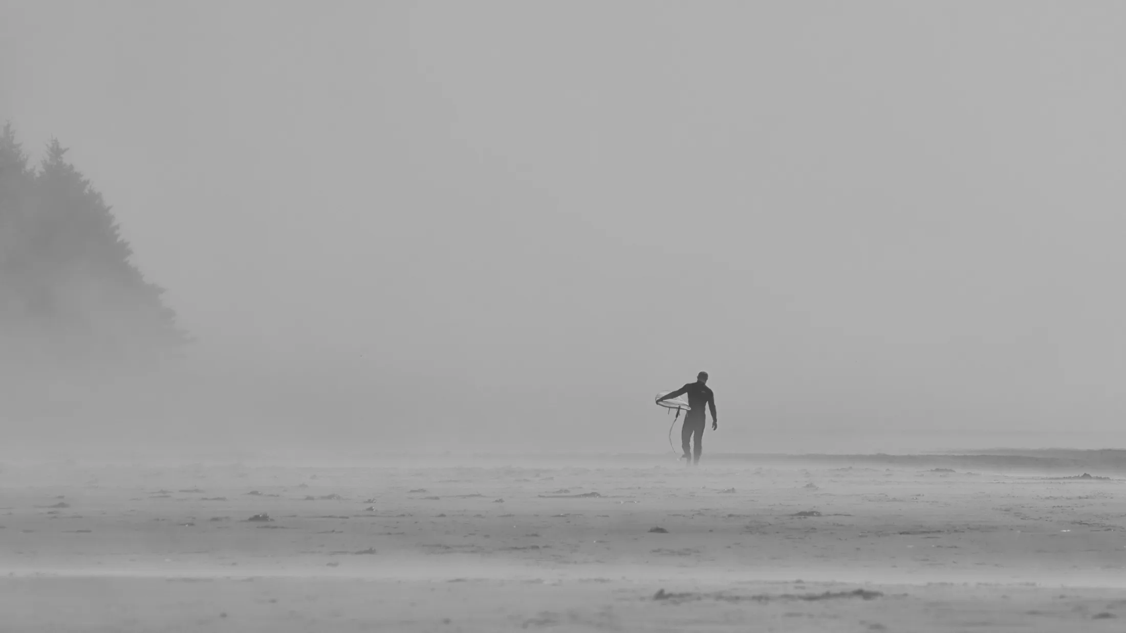Entry 20188998