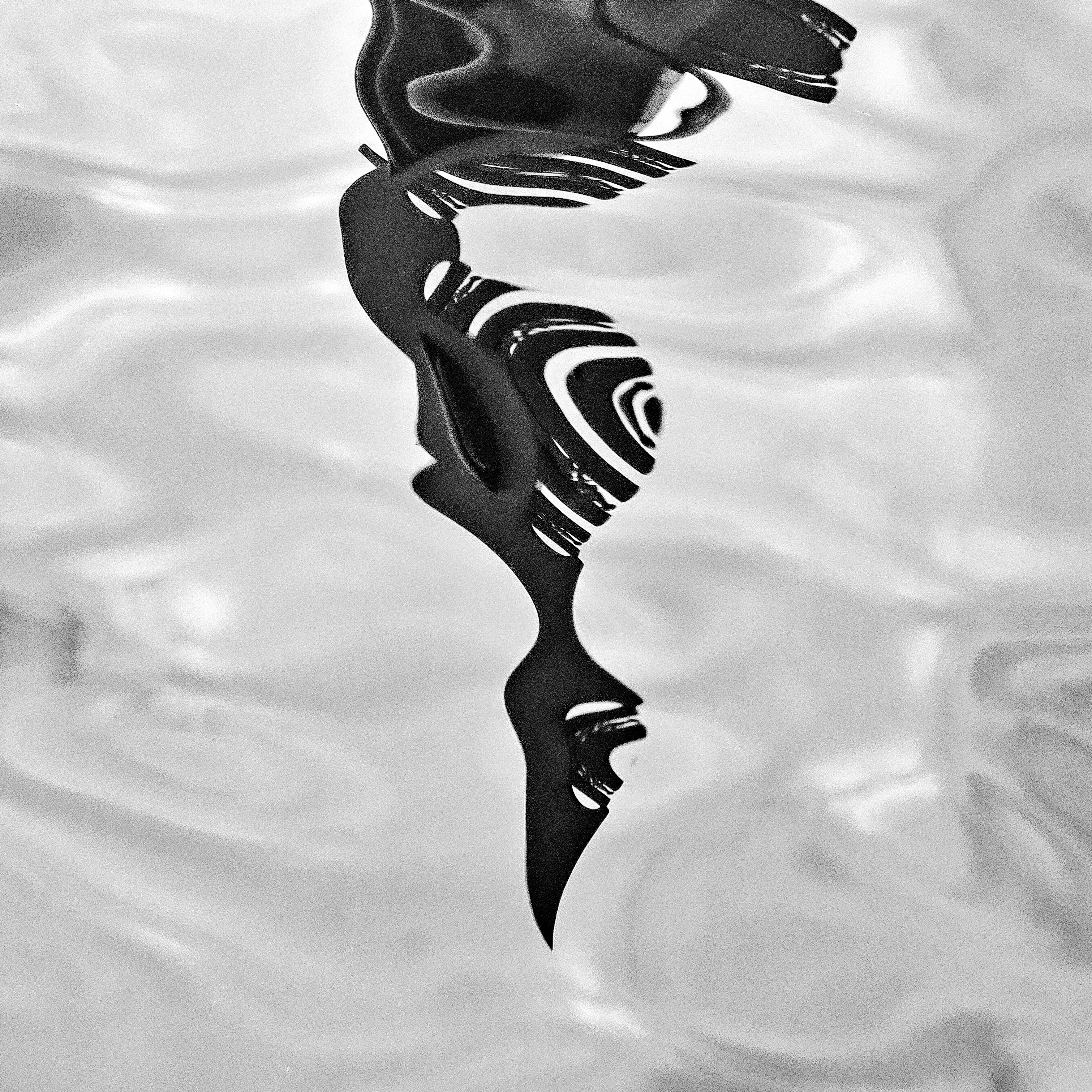 'Dolfin' Abstract 1