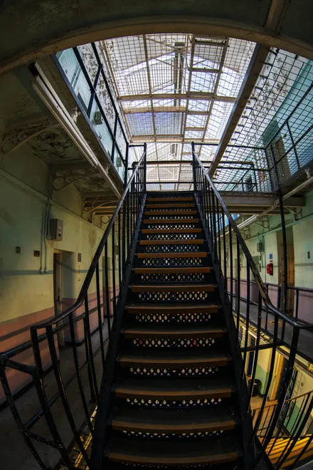 Entry 29528623
