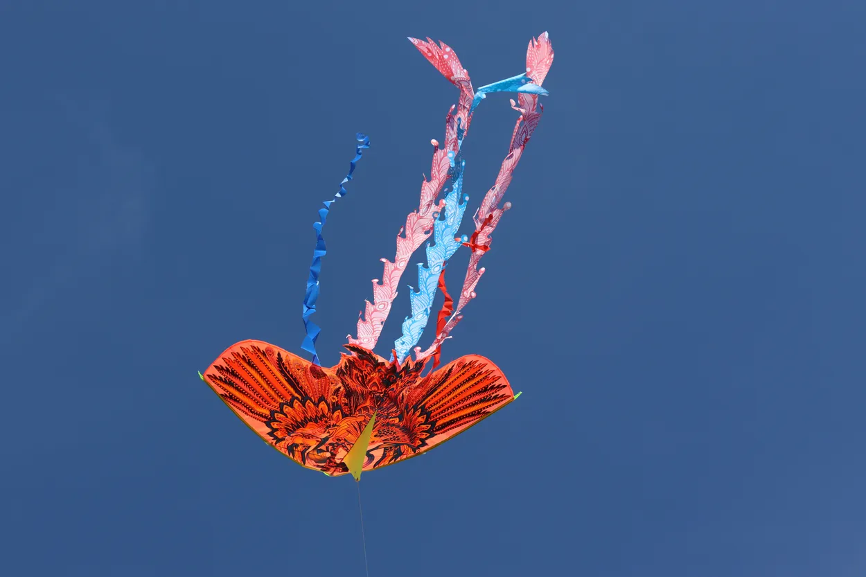 Entry 20199790