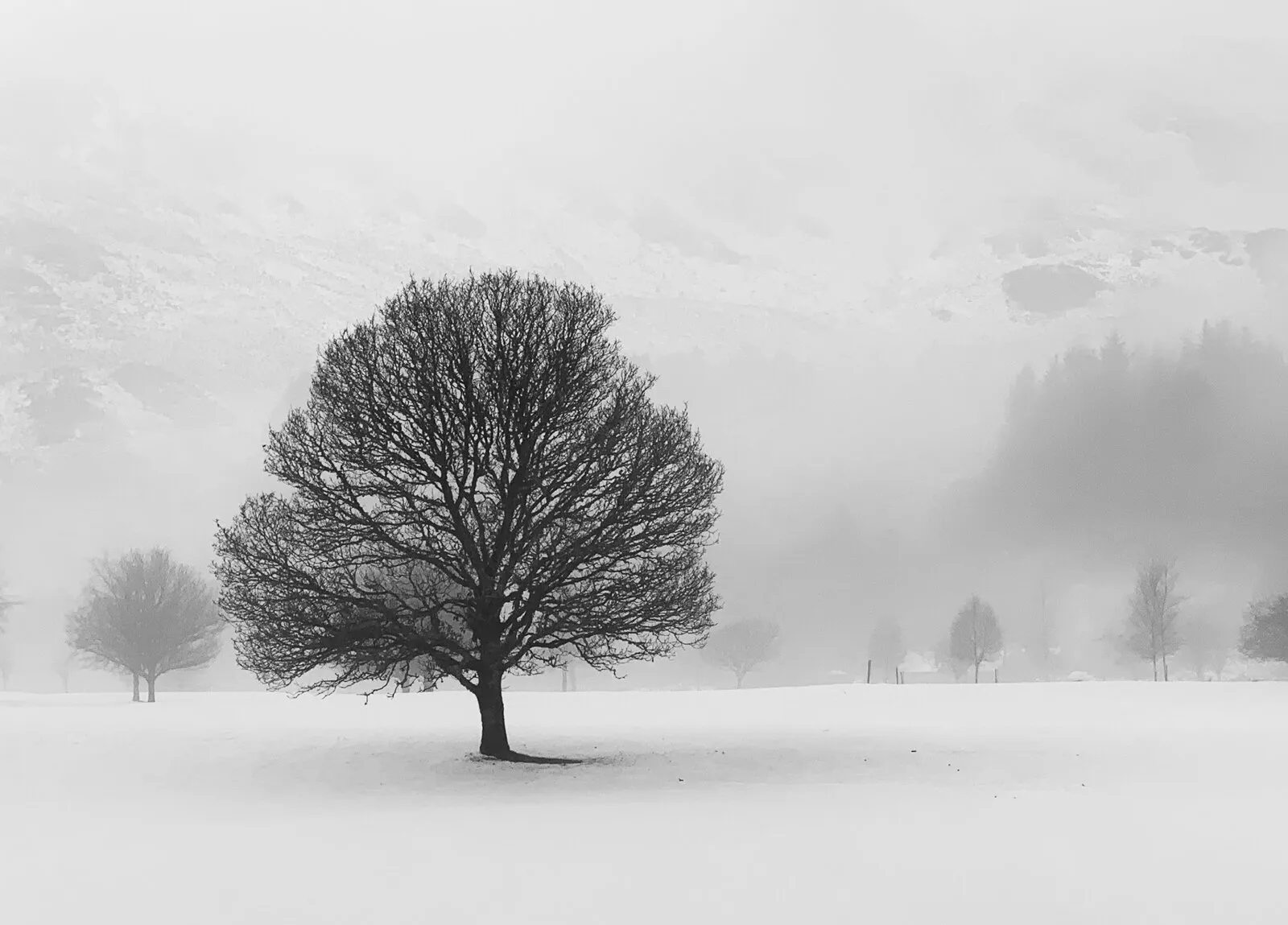 Winter
