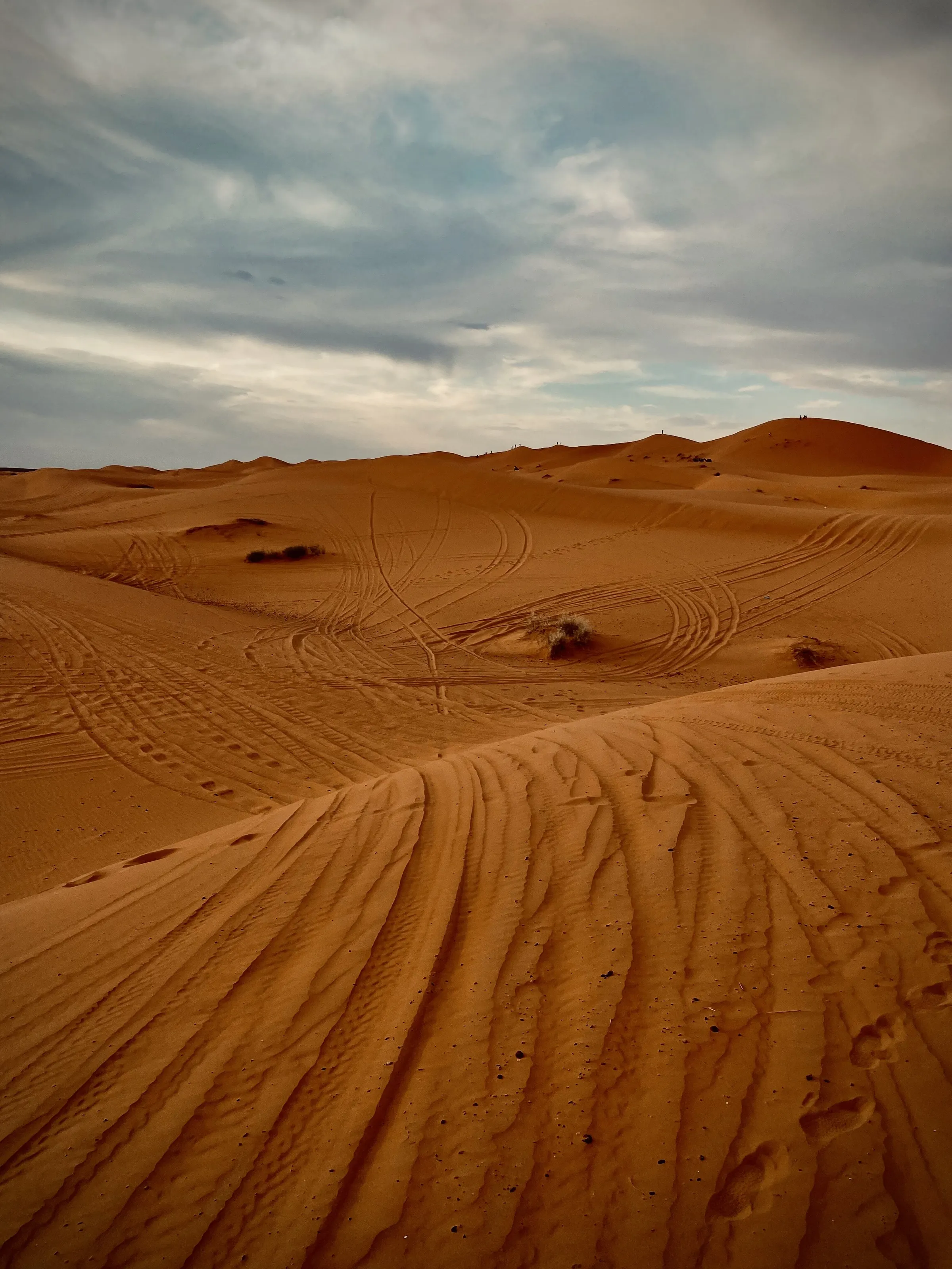 Sand-swept Journeys: A Tapestry of Imprints