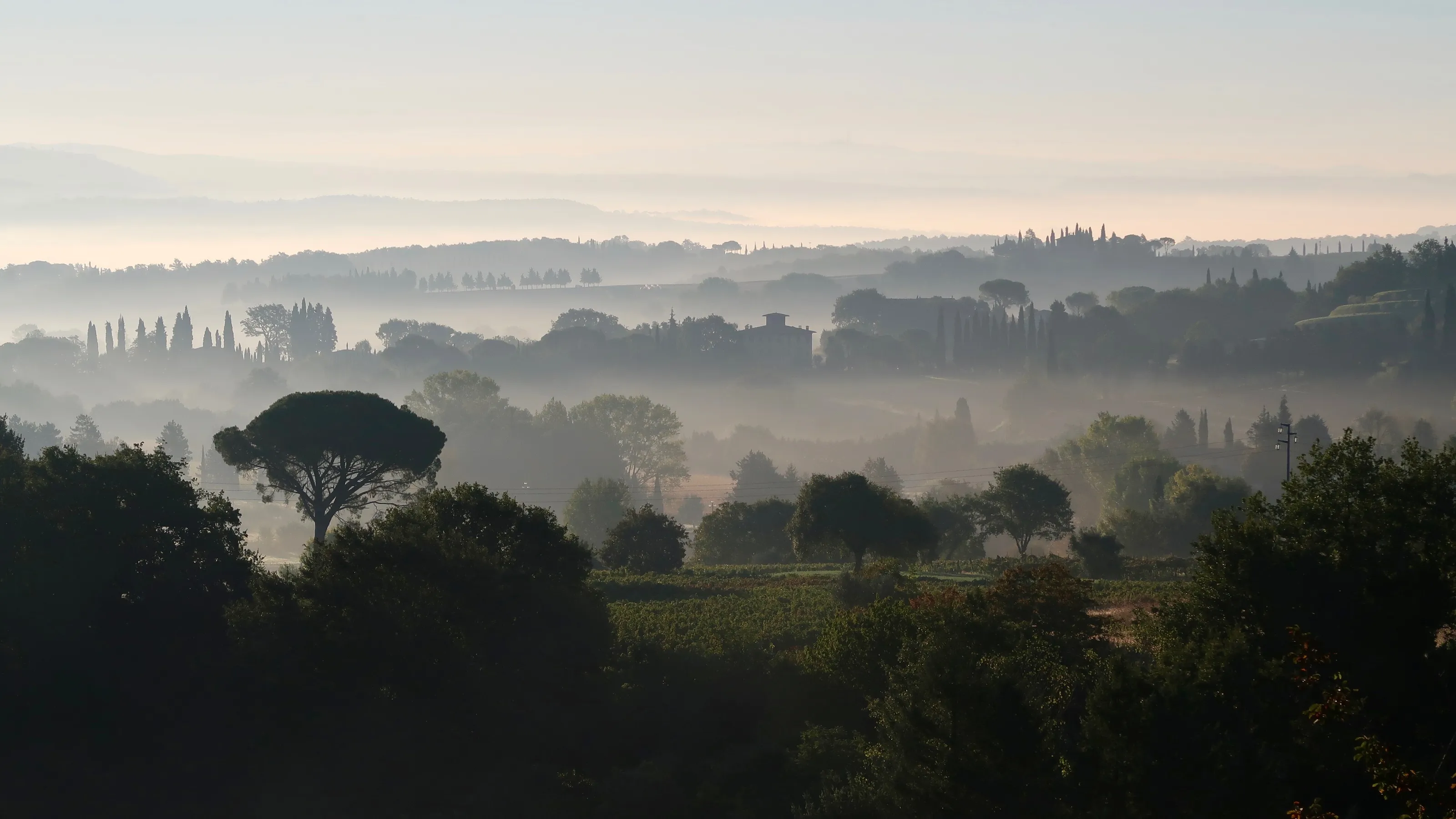 044 Tuscan Dawn