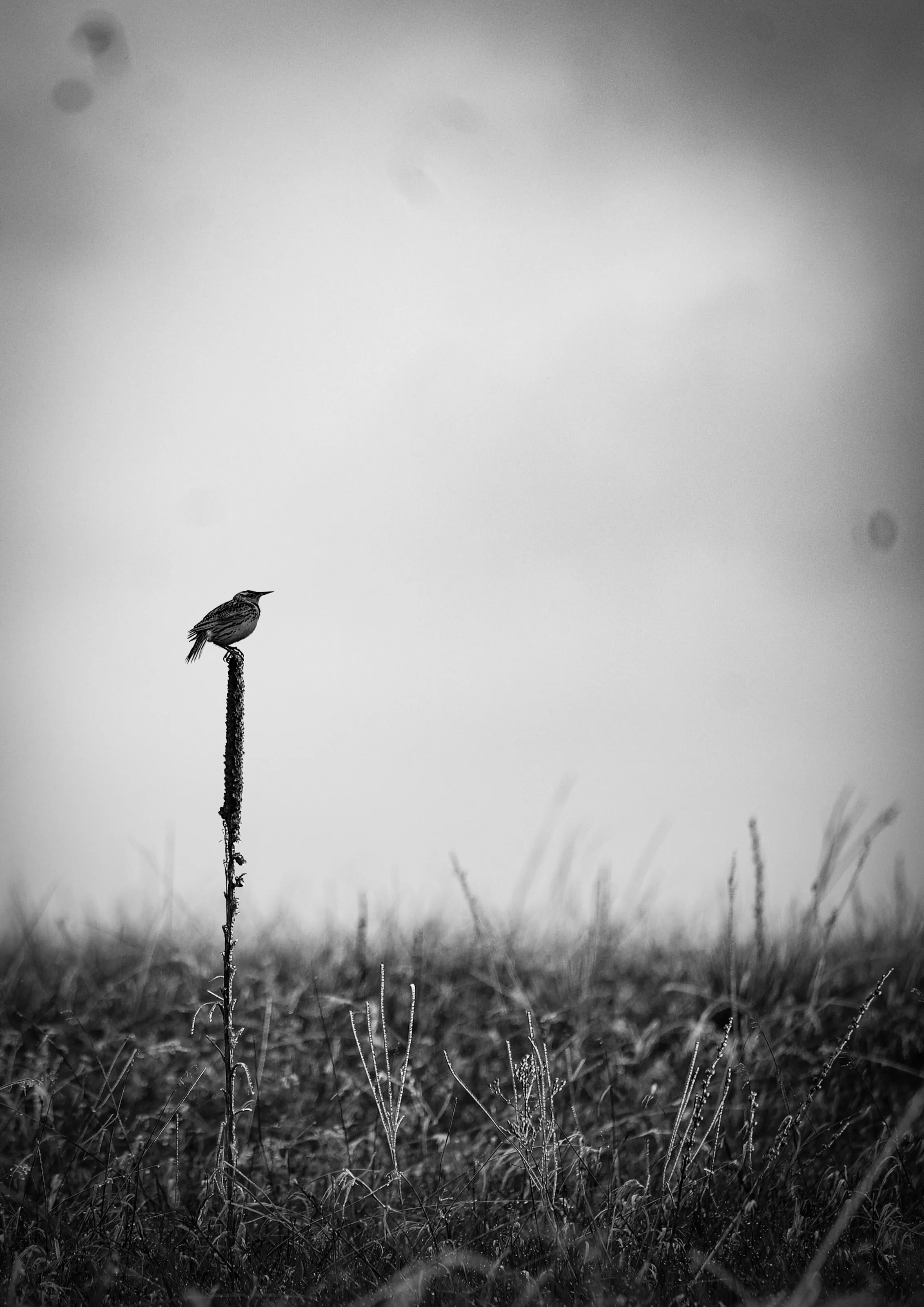 A moment to think