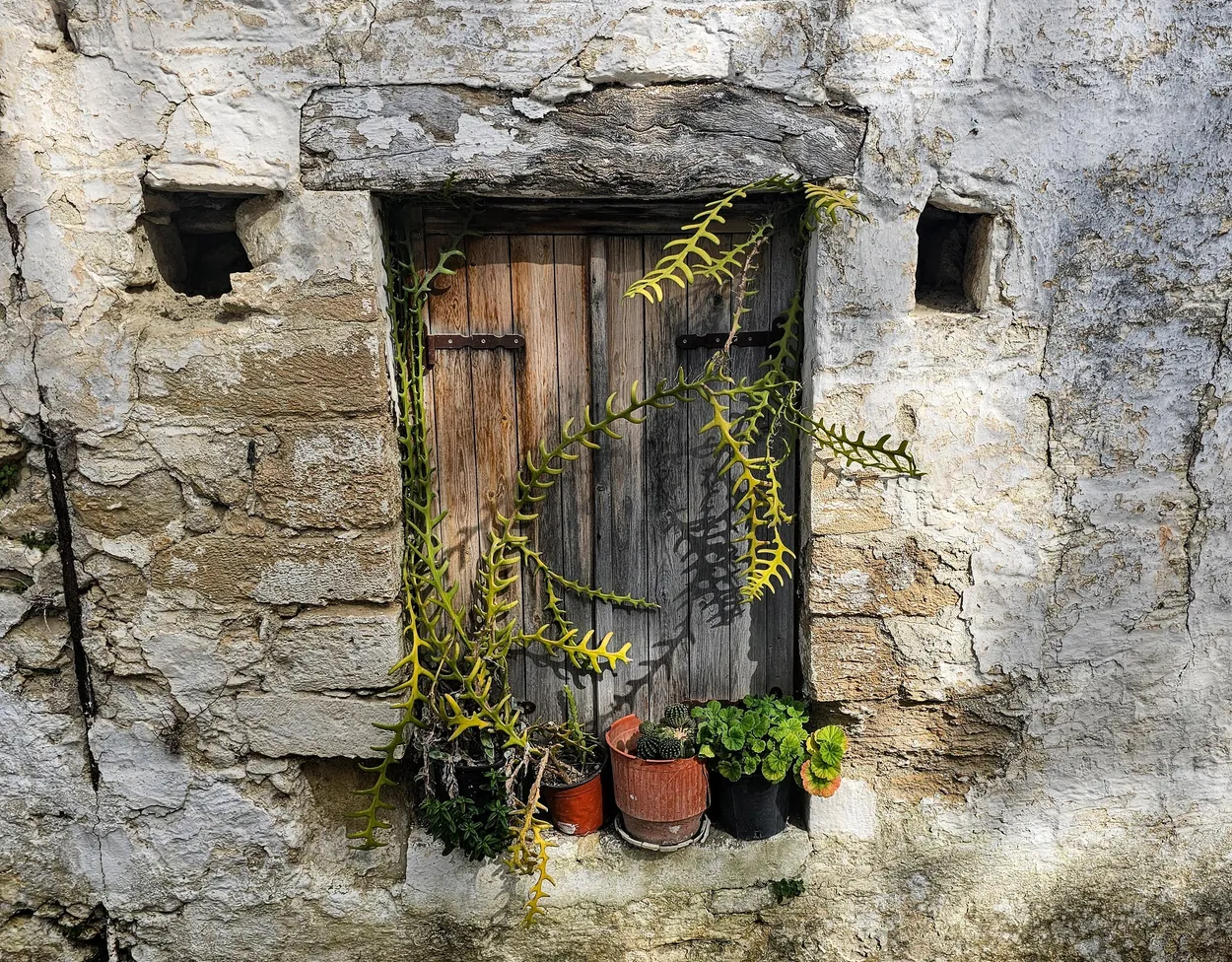Entry 21025710
