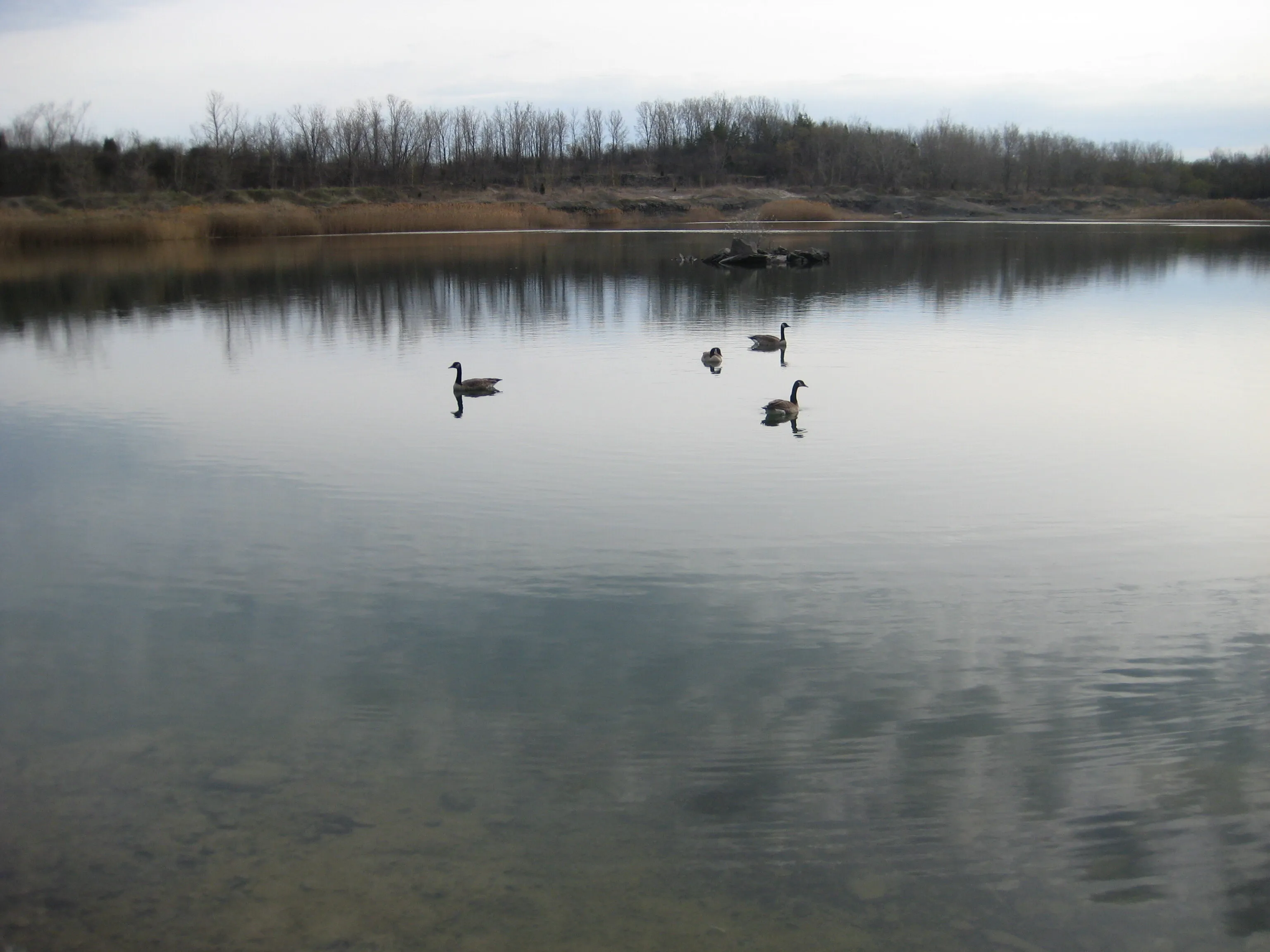 Tranquility