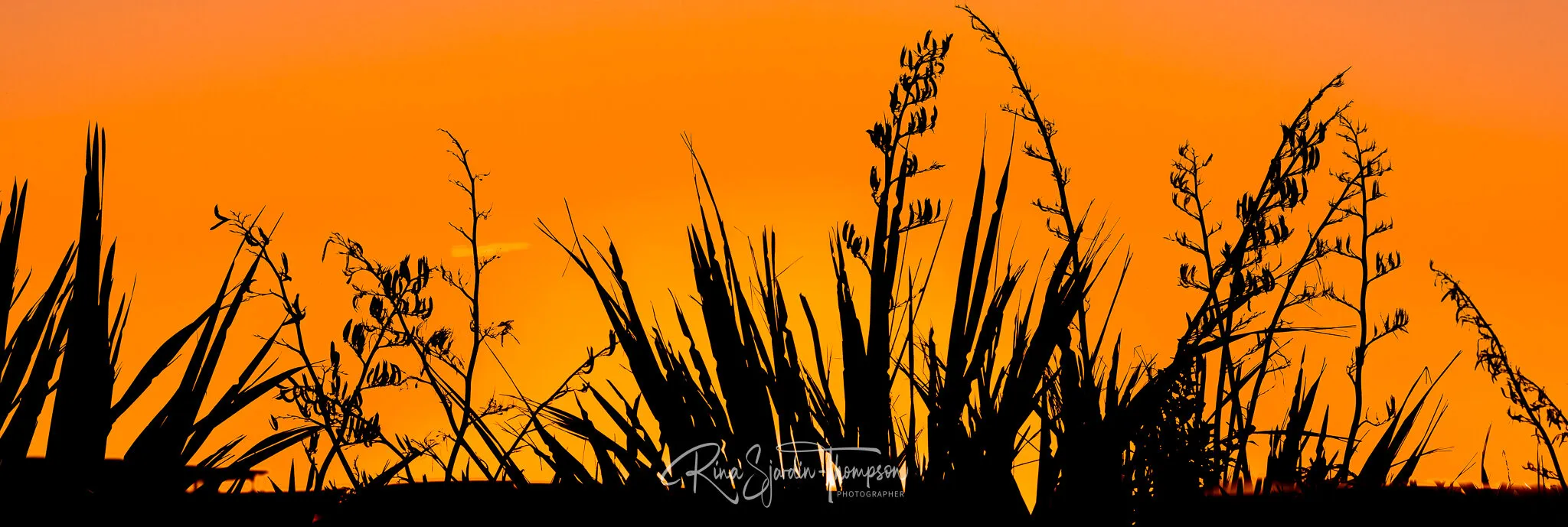 sunset splashback