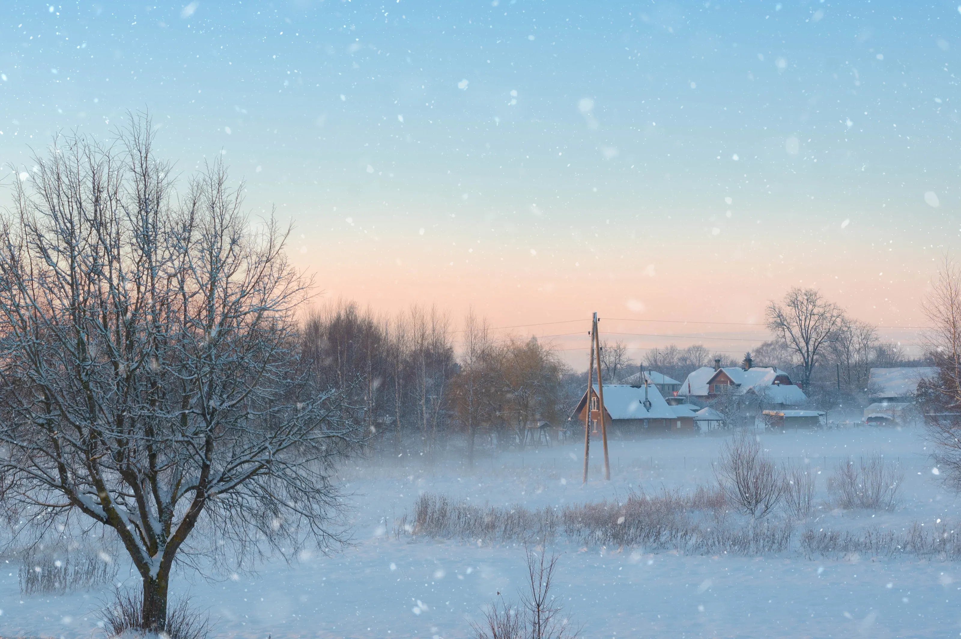 Winter landscape