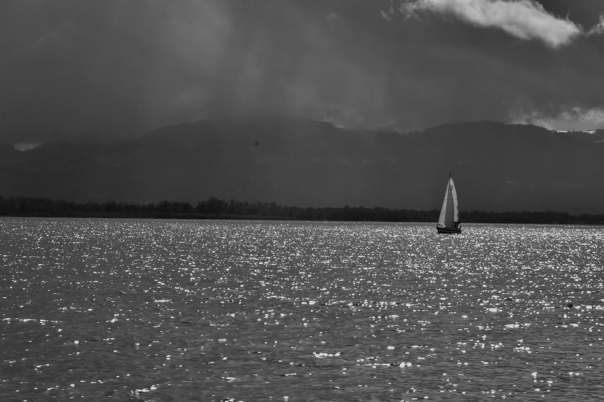 Swim home