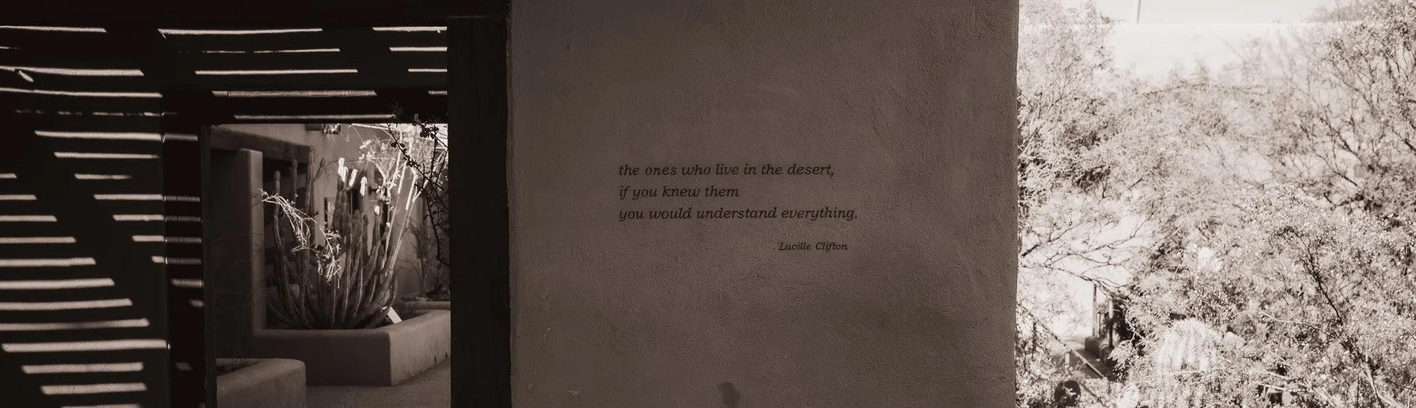 the ones who live in the desert