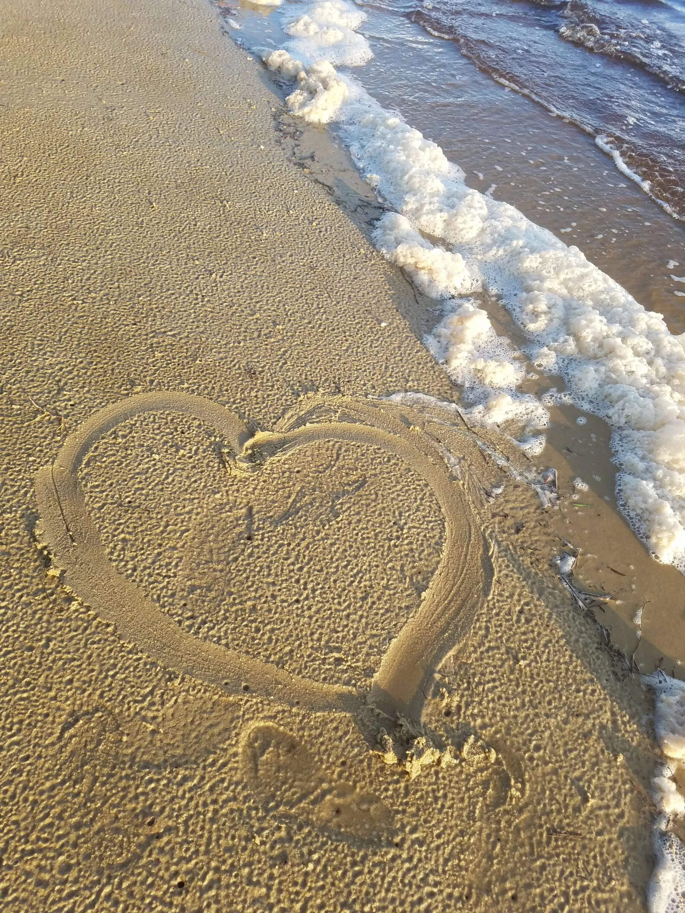 Love of the Beach