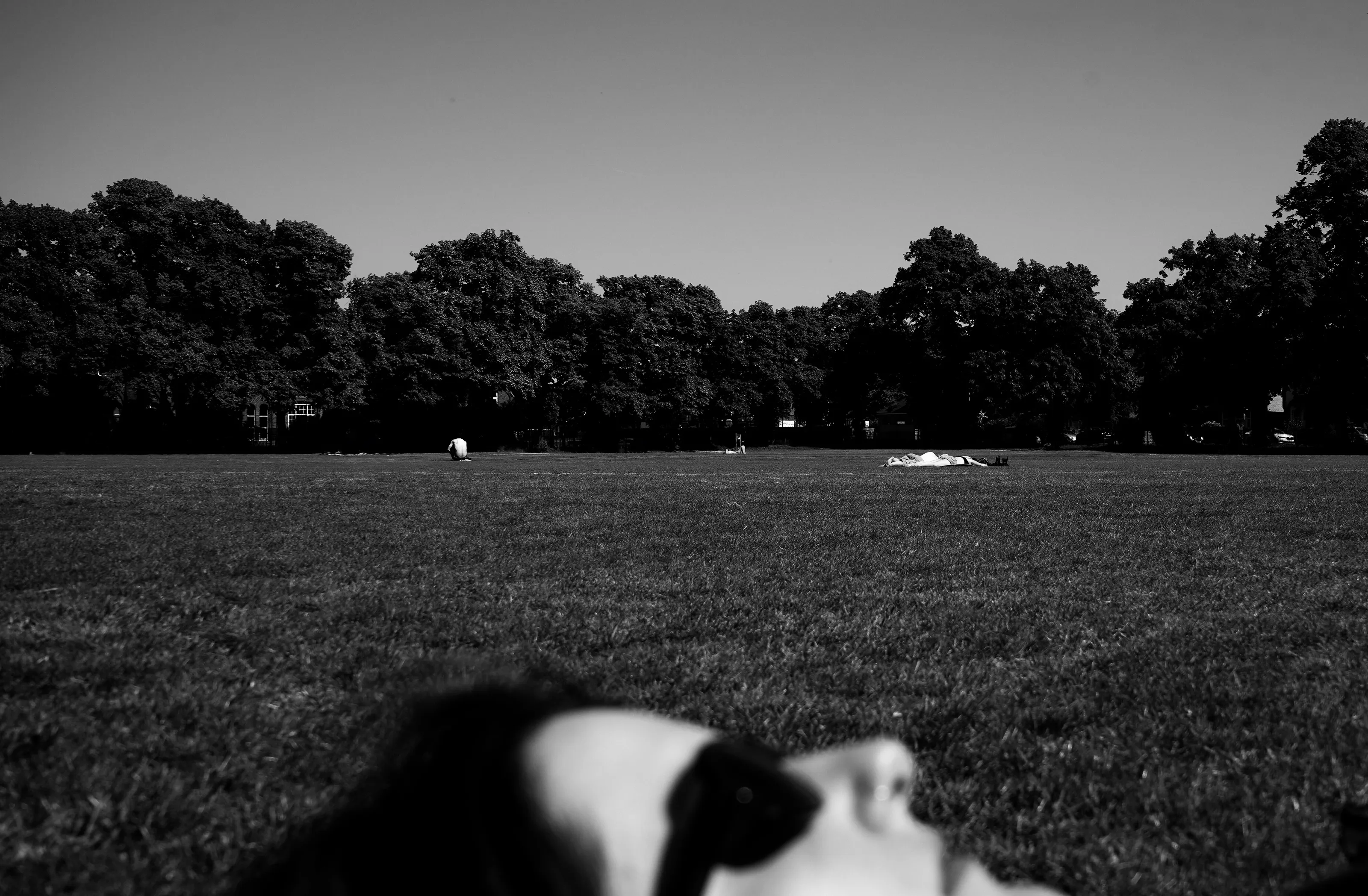 Image from a lost land- Under the Sun
