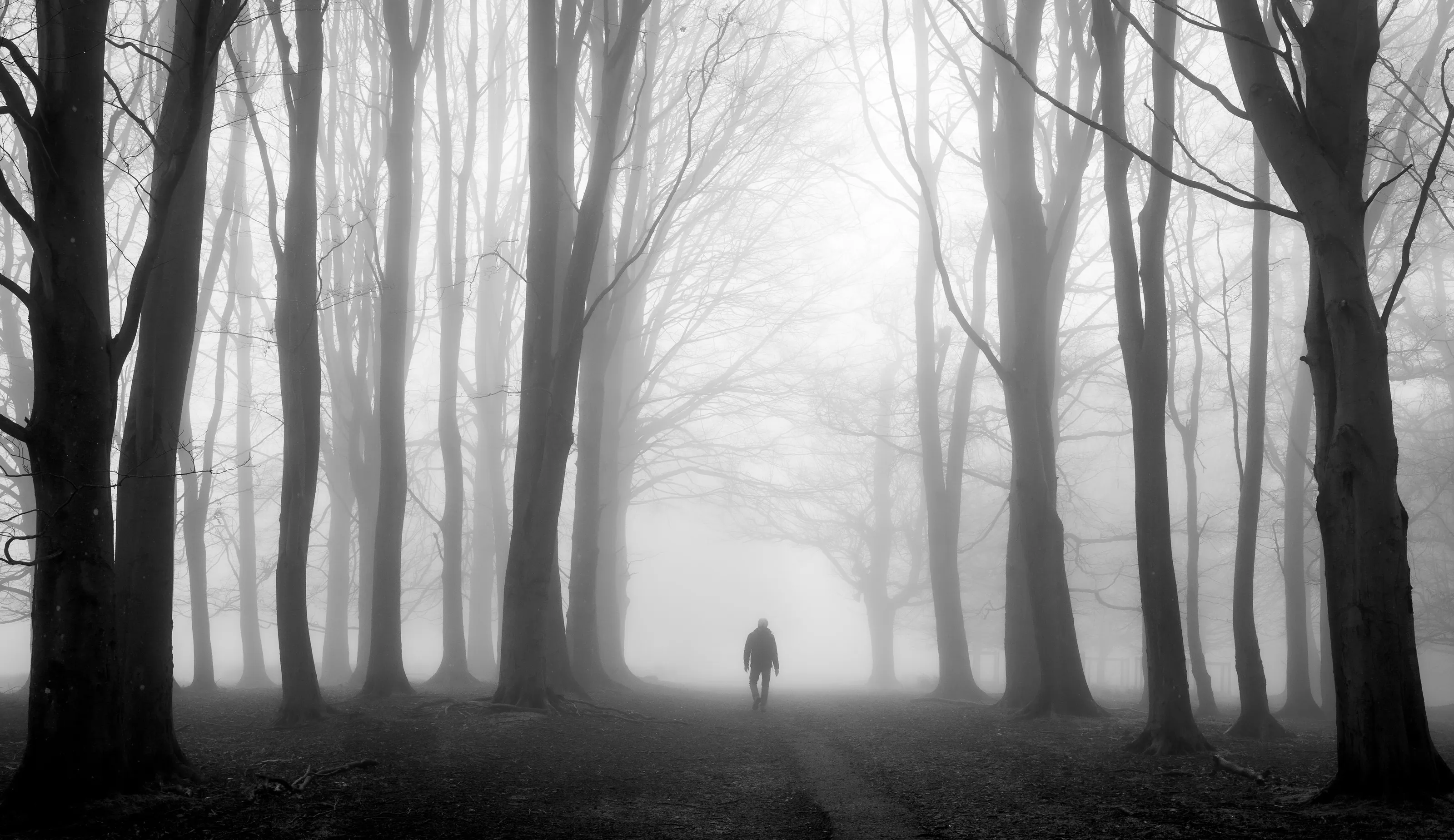 The Lone Walker