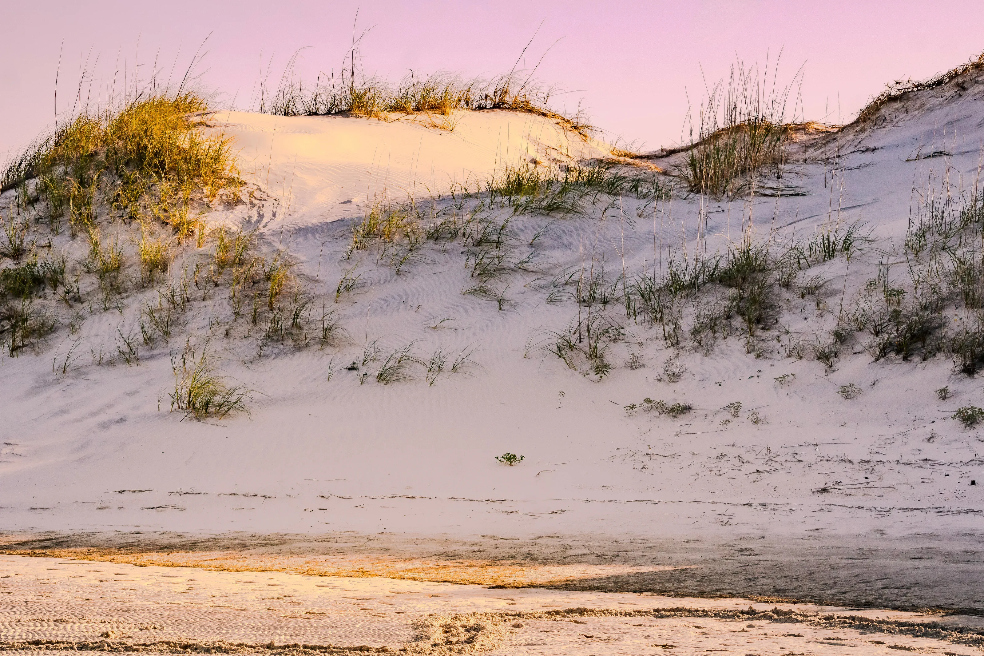 Morning Dunes