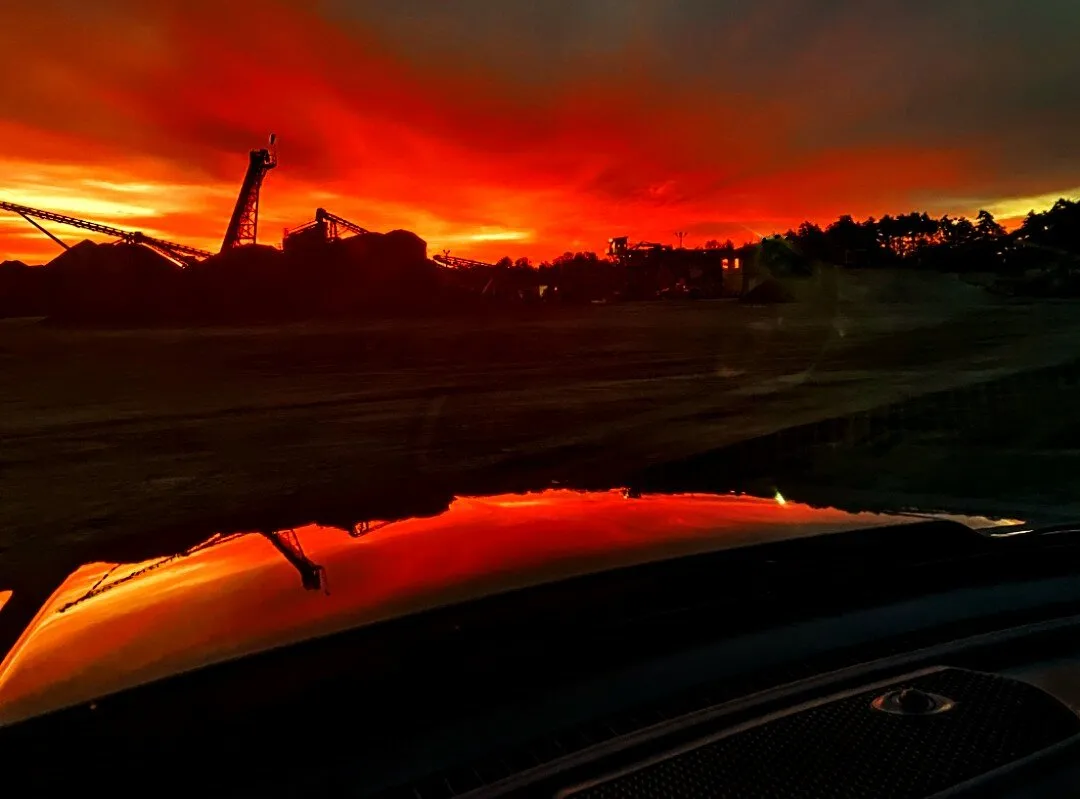 Dawn of the Crane